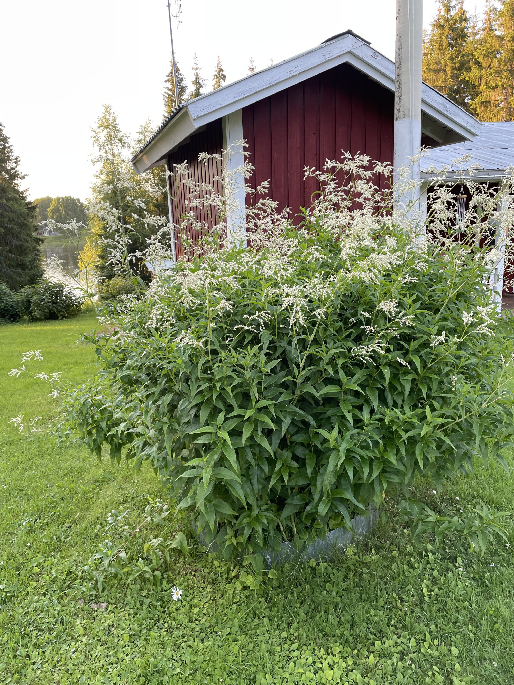 Sweden estate