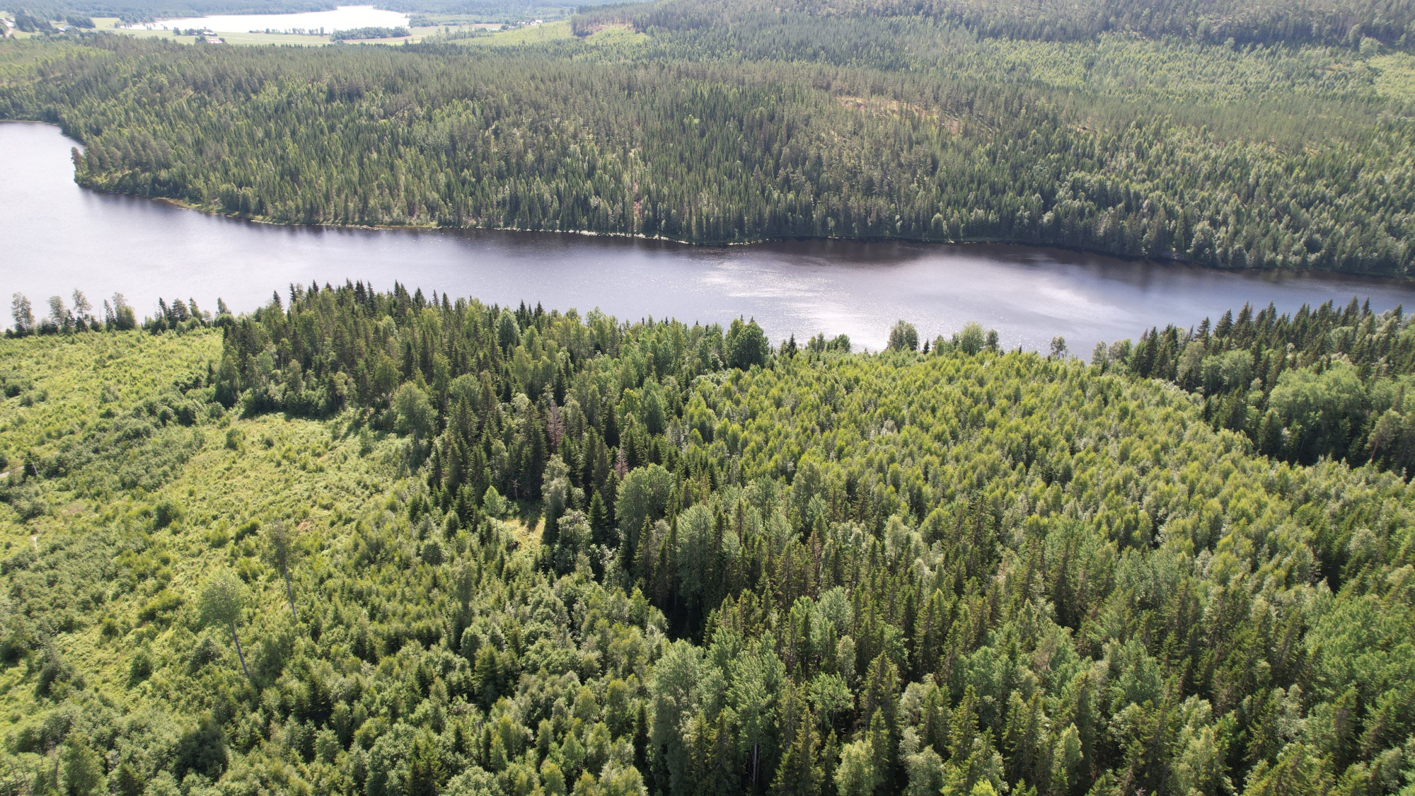 Sweden estate