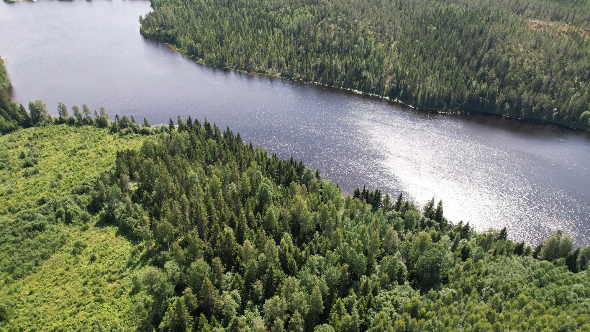 Sweden estate