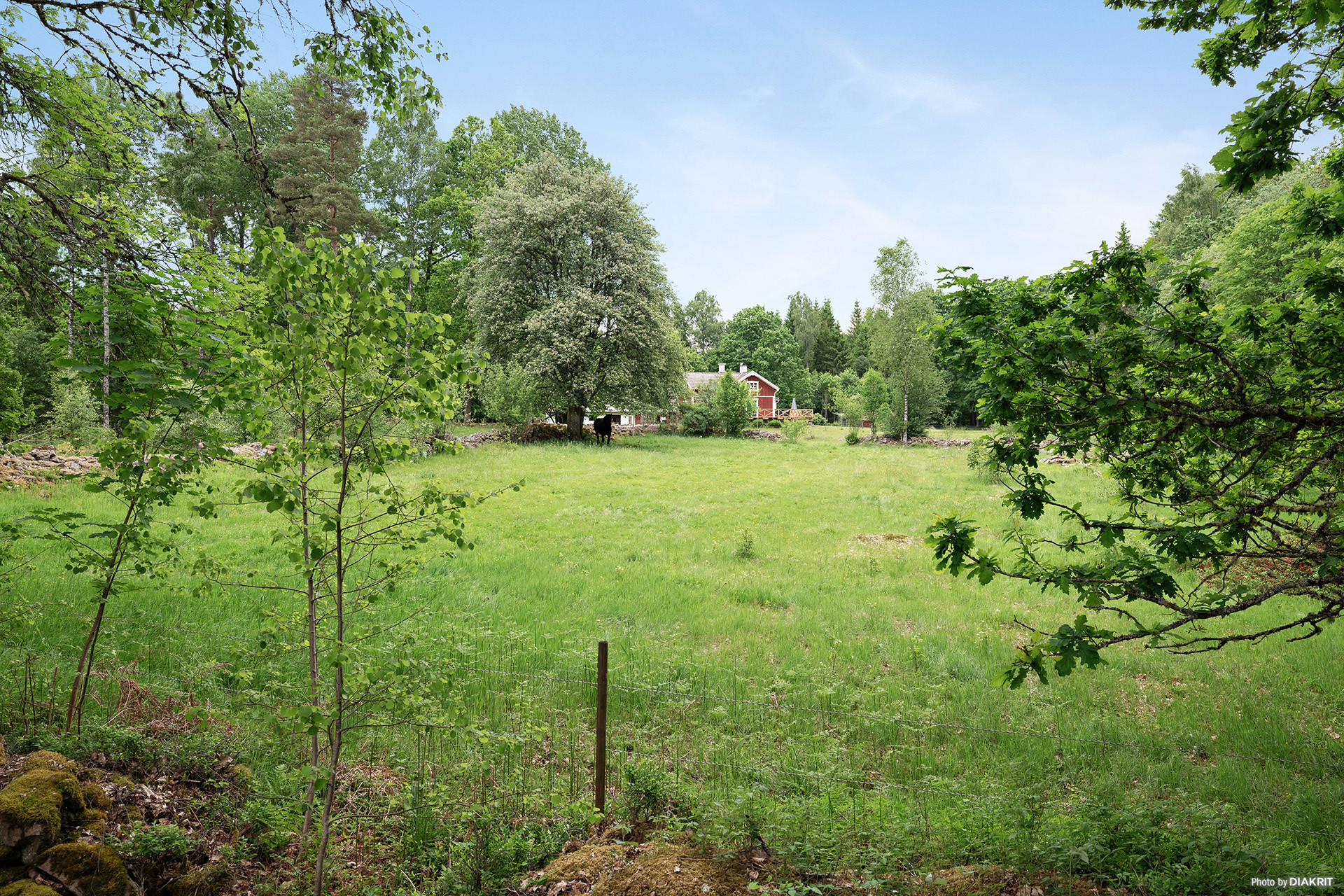 Sweden estate