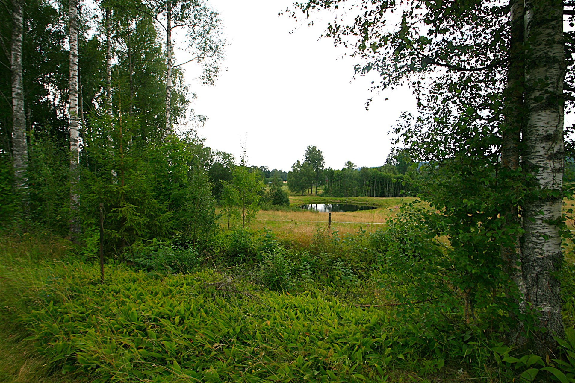 Sweden estate