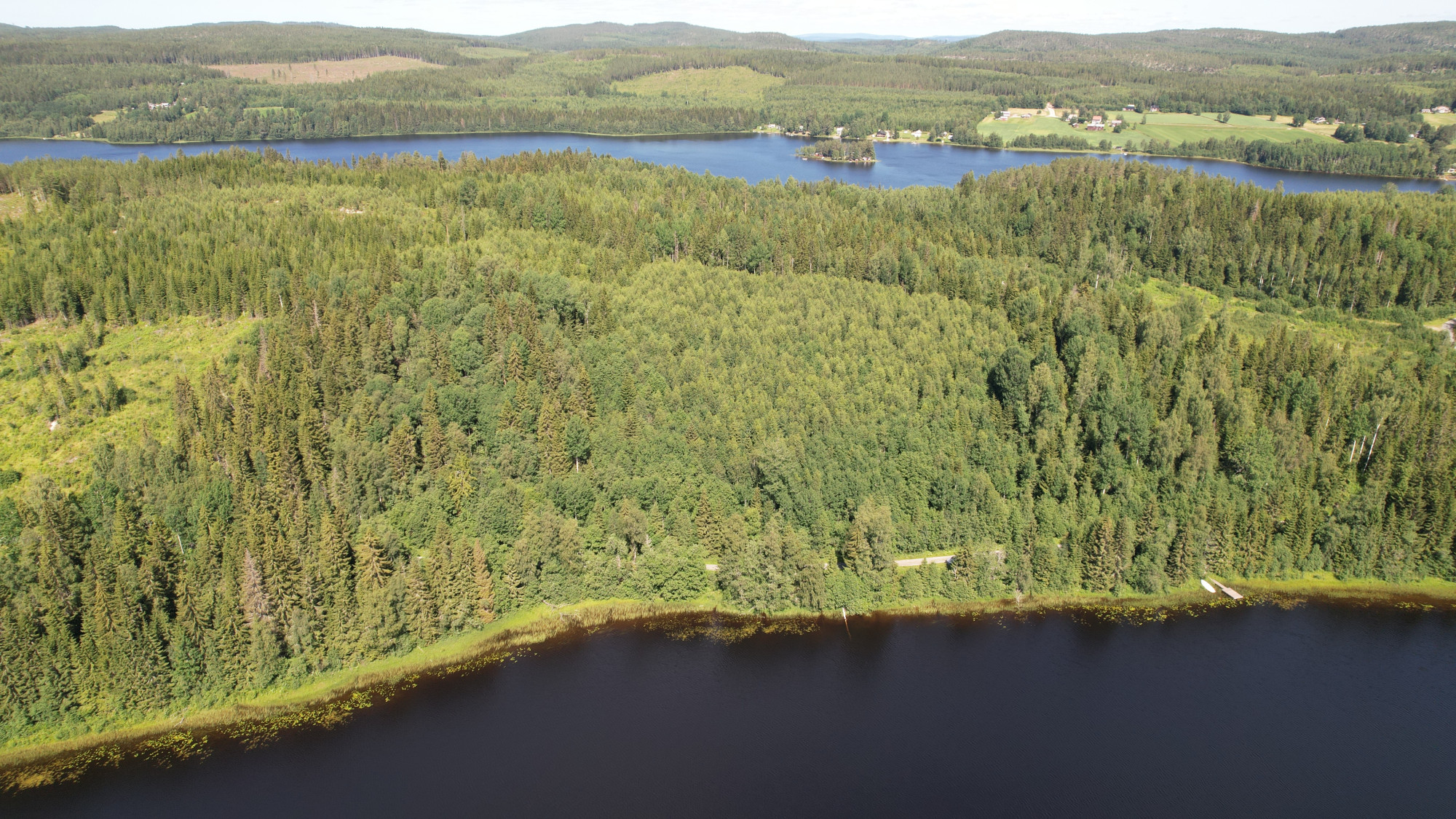Sweden estate