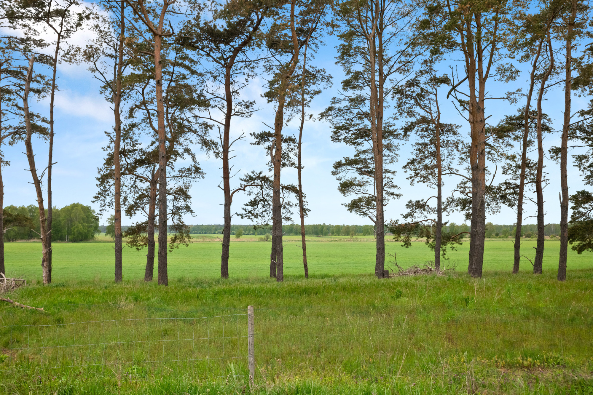 Sweden estate