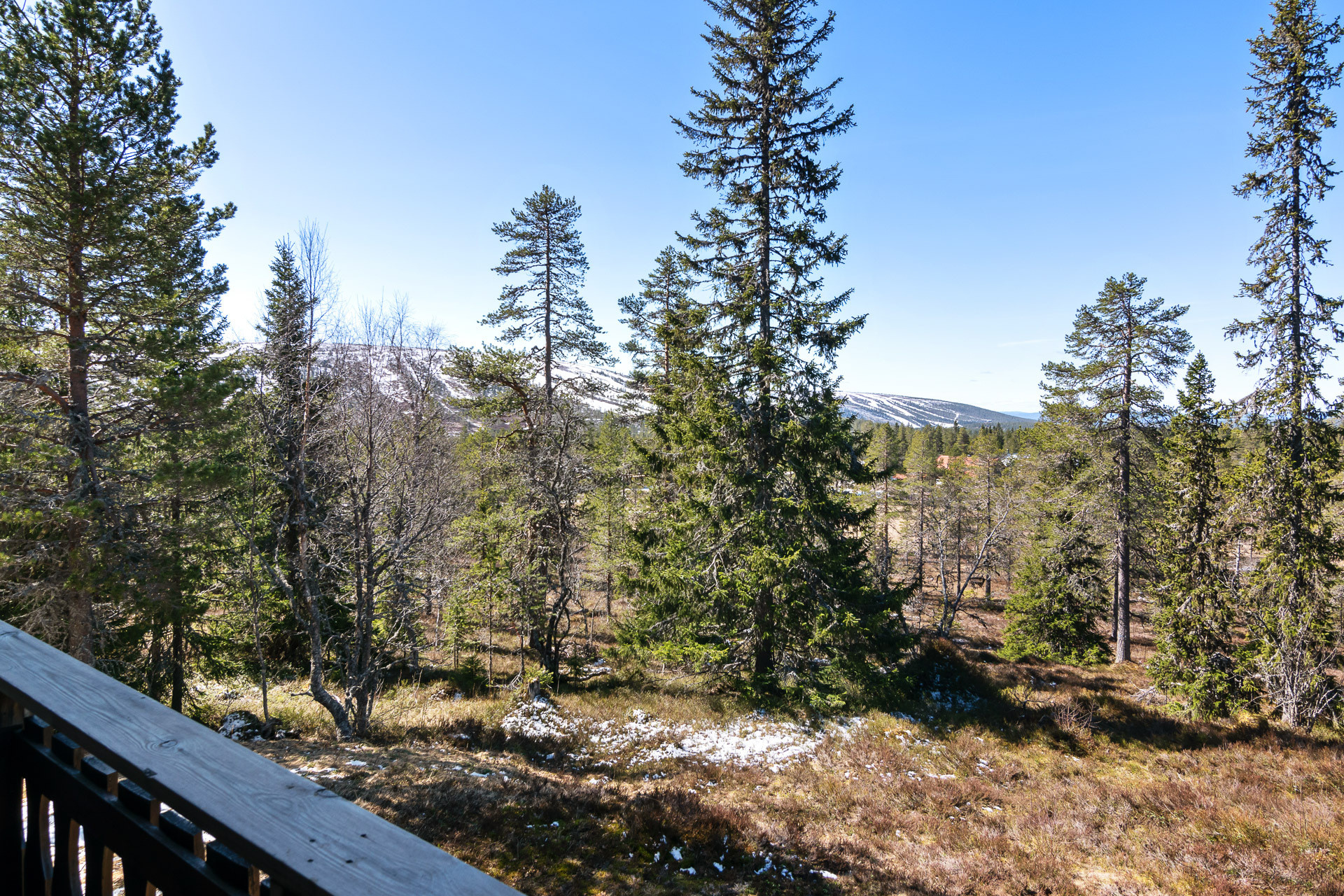 Sweden estate