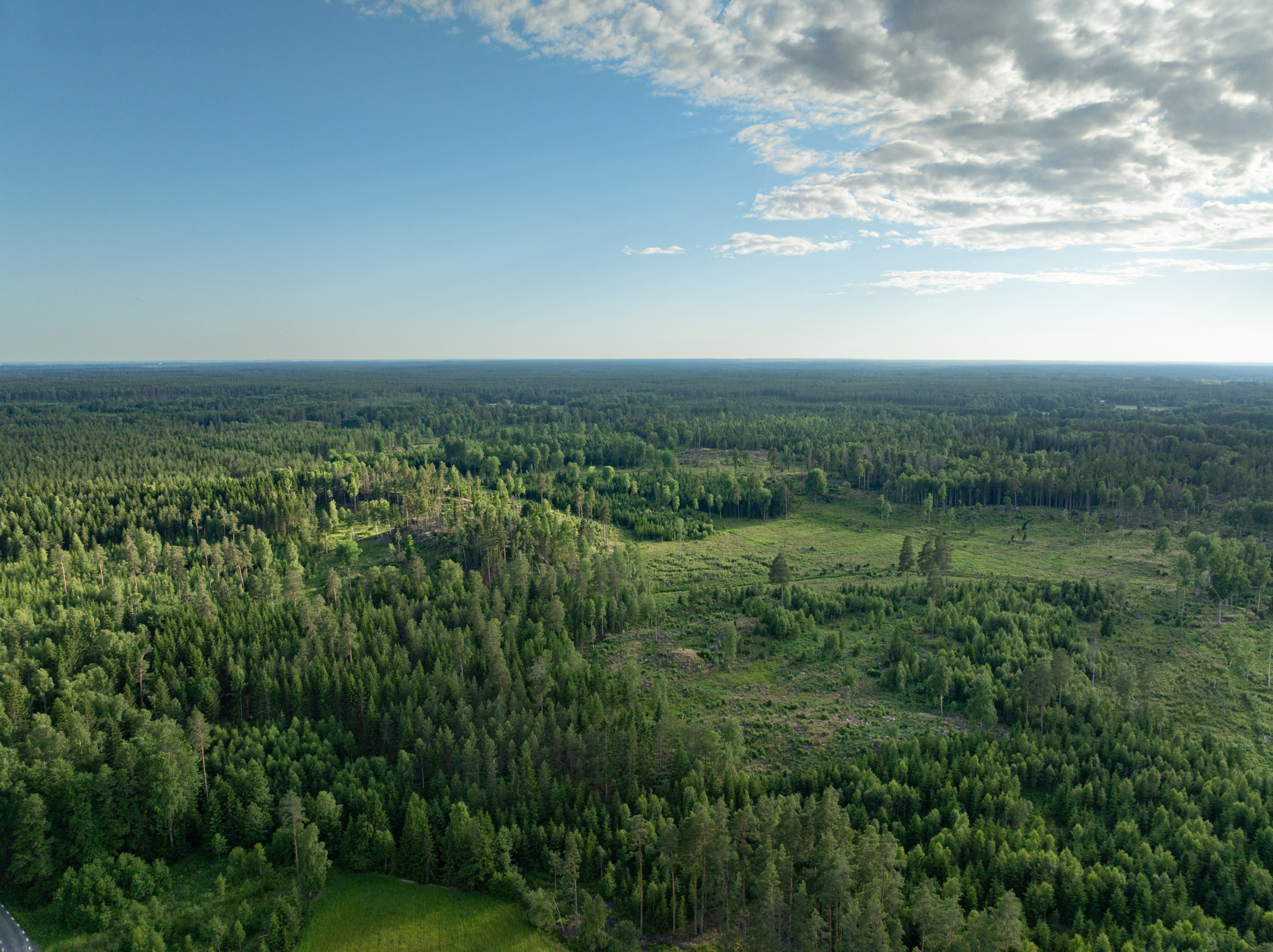 Sweden estate
