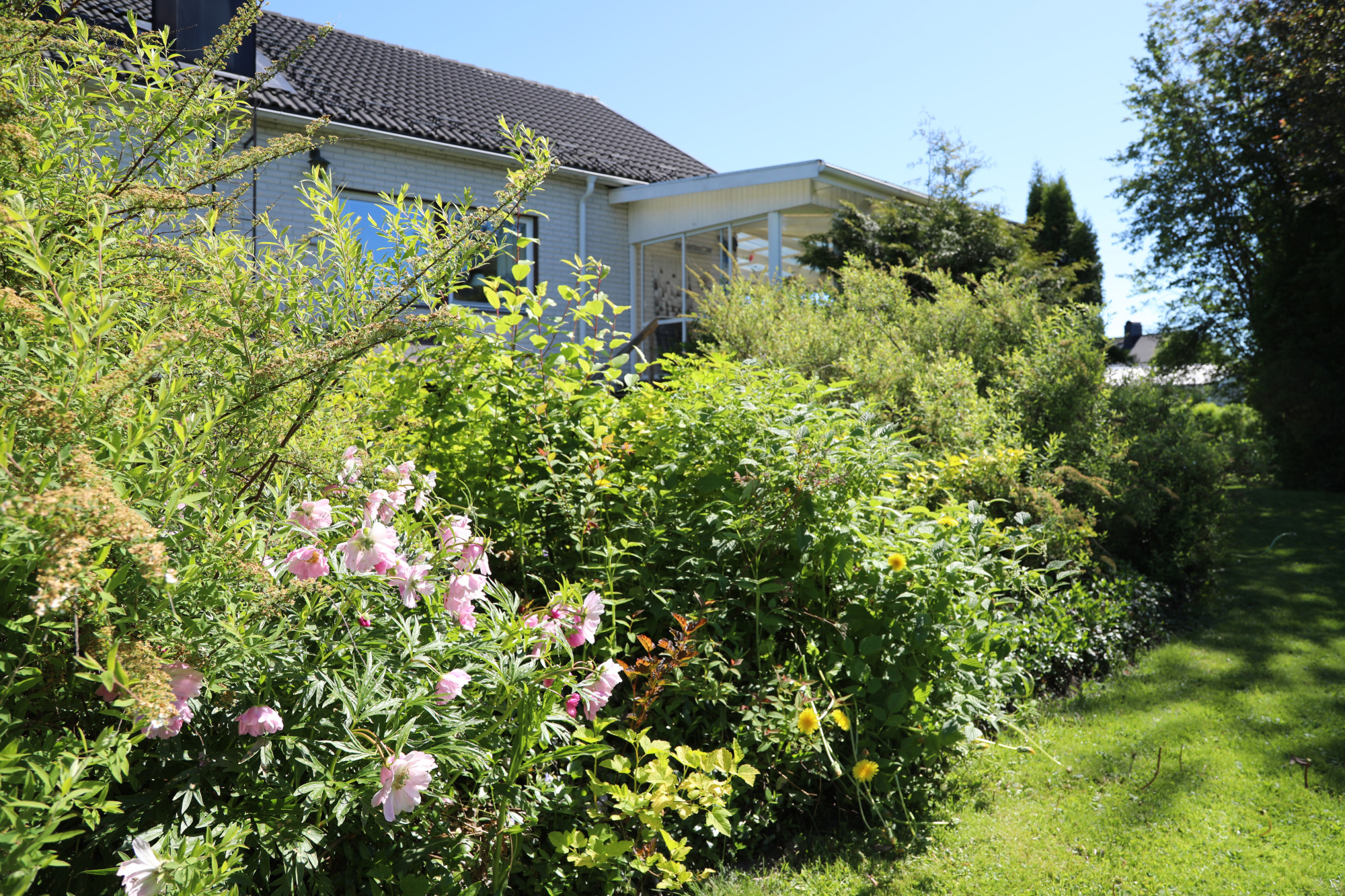 Sweden estate