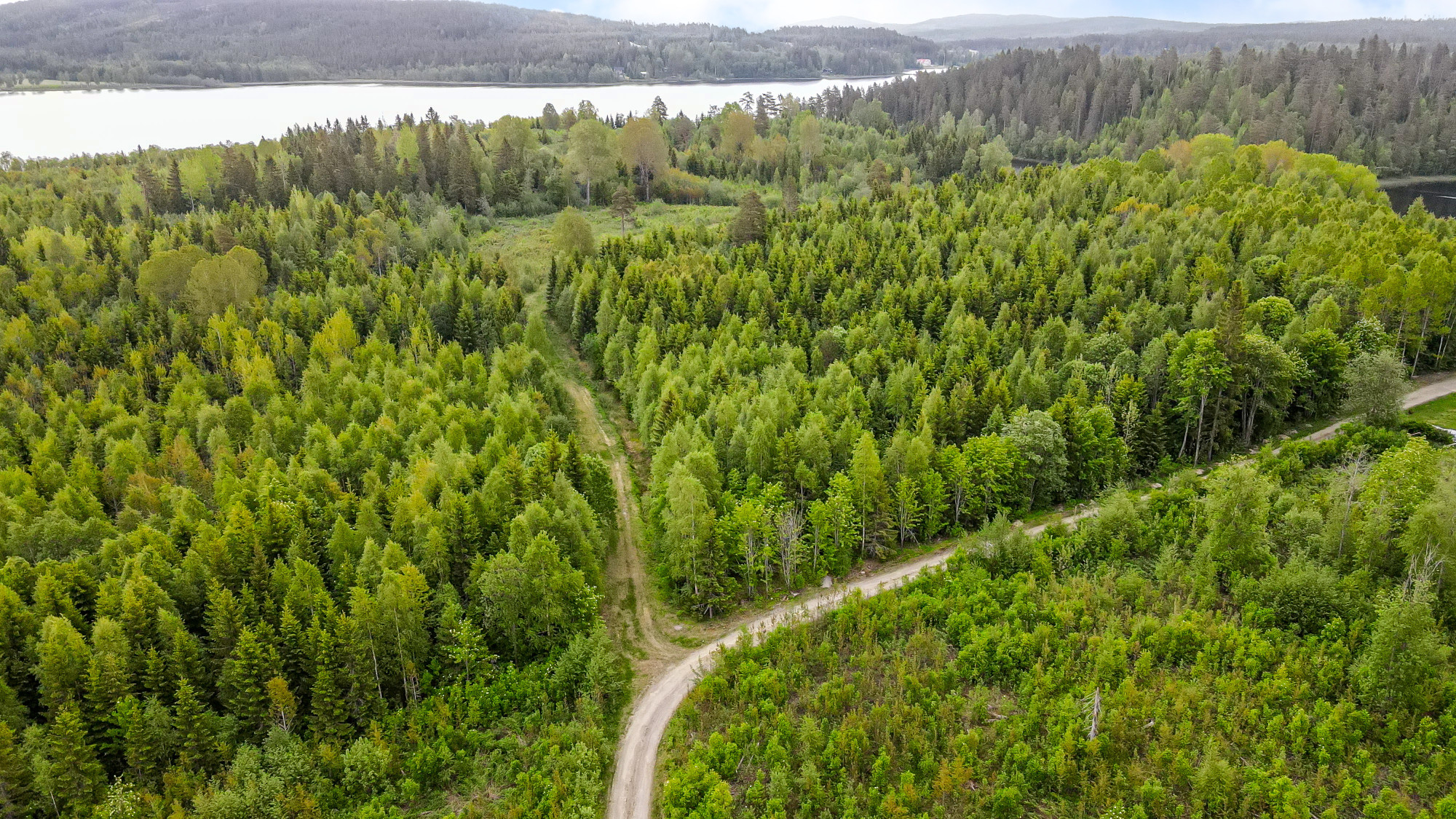 Sweden estate