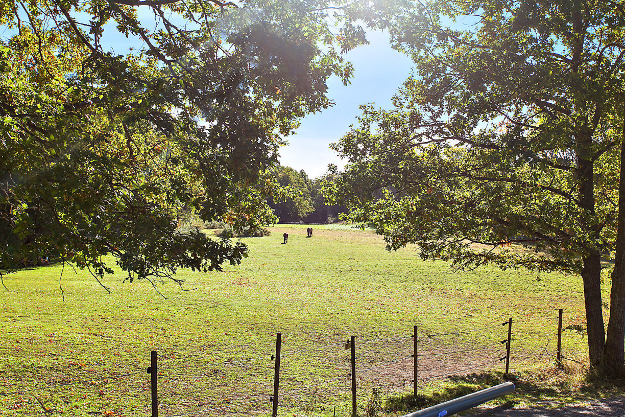Sweden estate