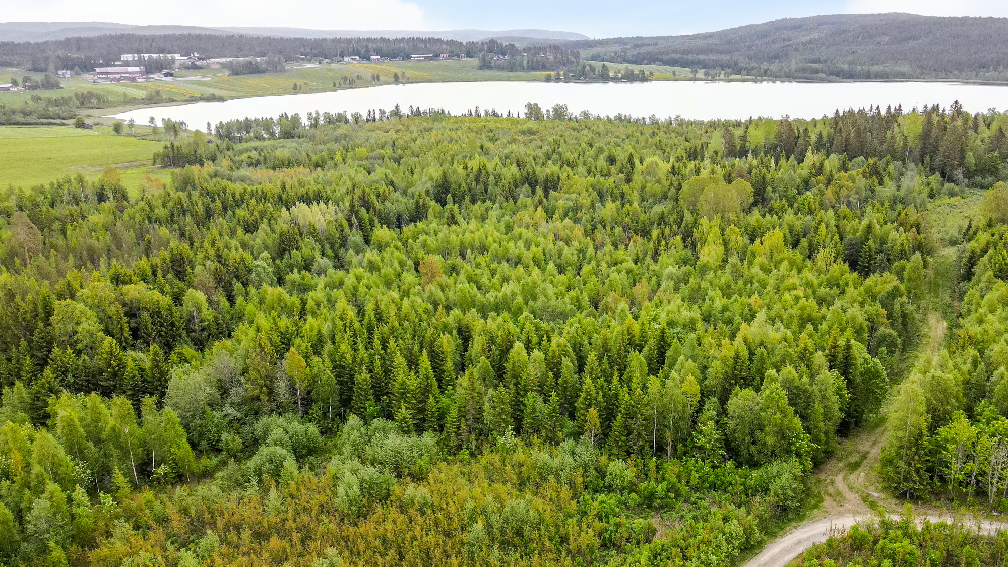 Sweden estate