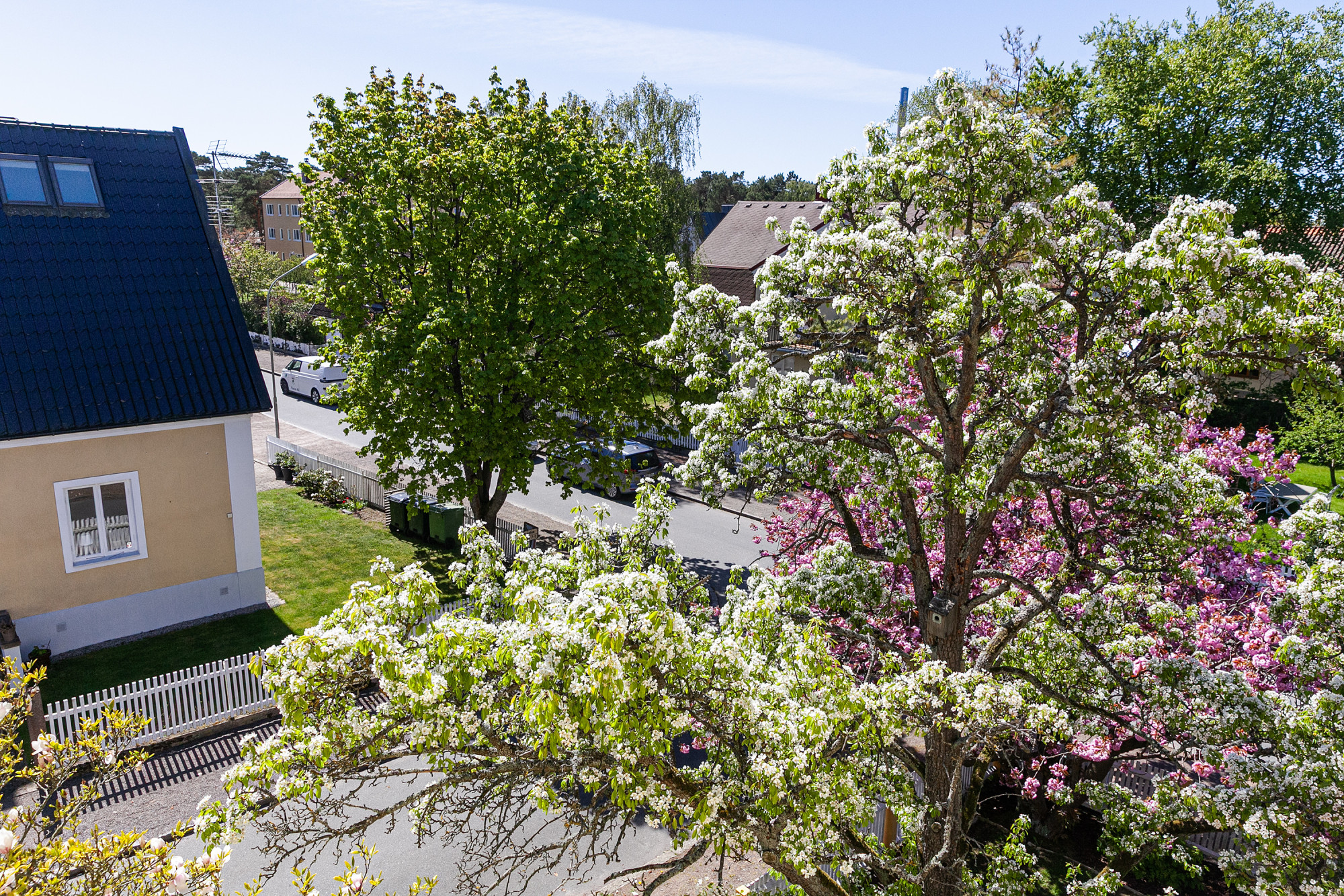 Sweden estate