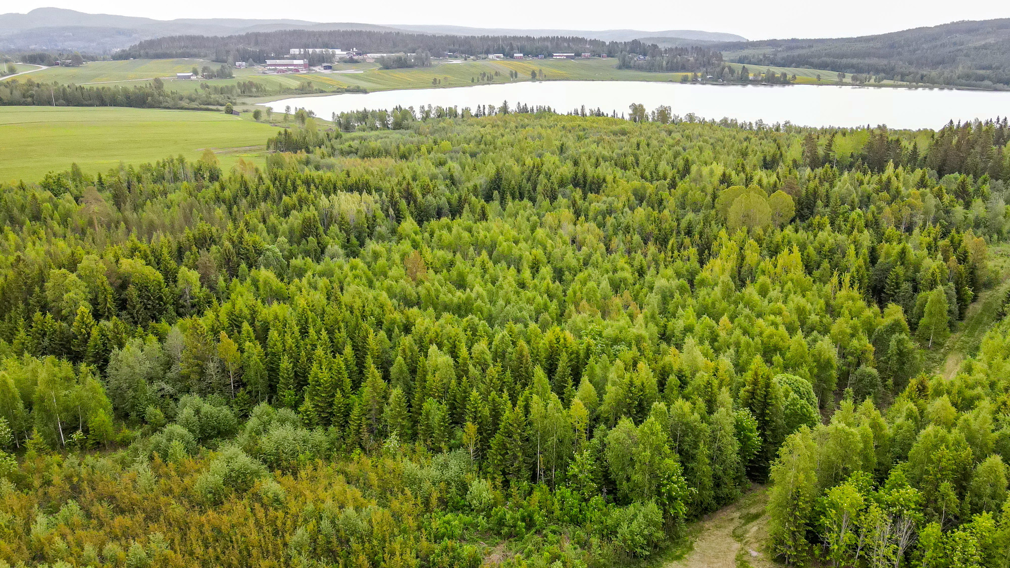 Sweden estate