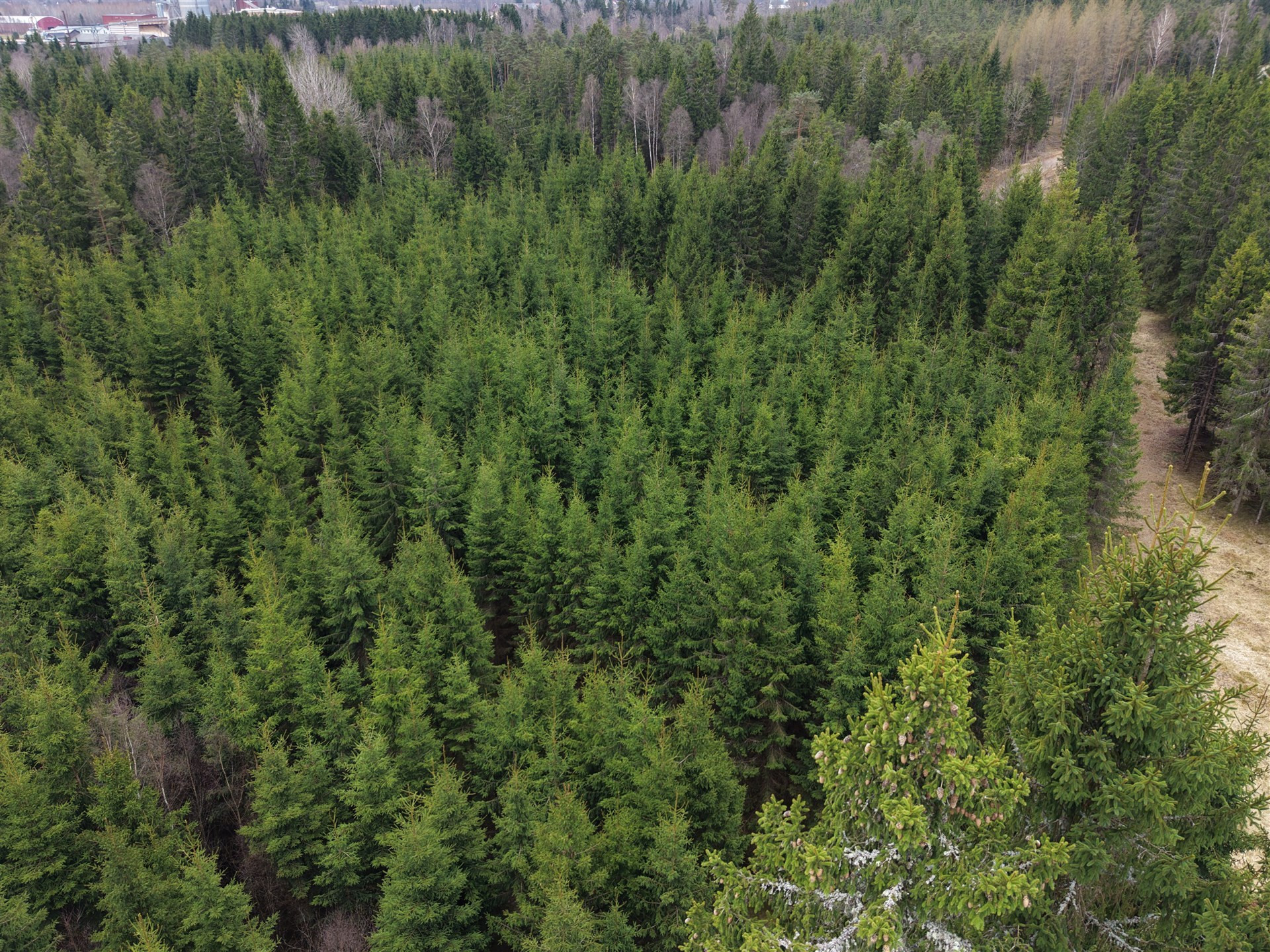 Sweden estate