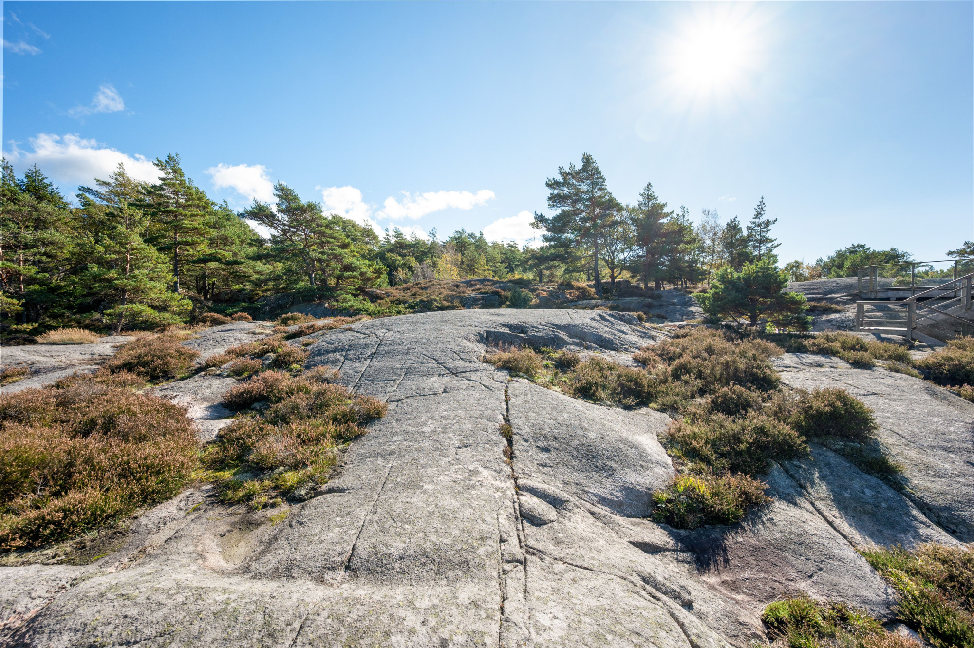 Sweden estate