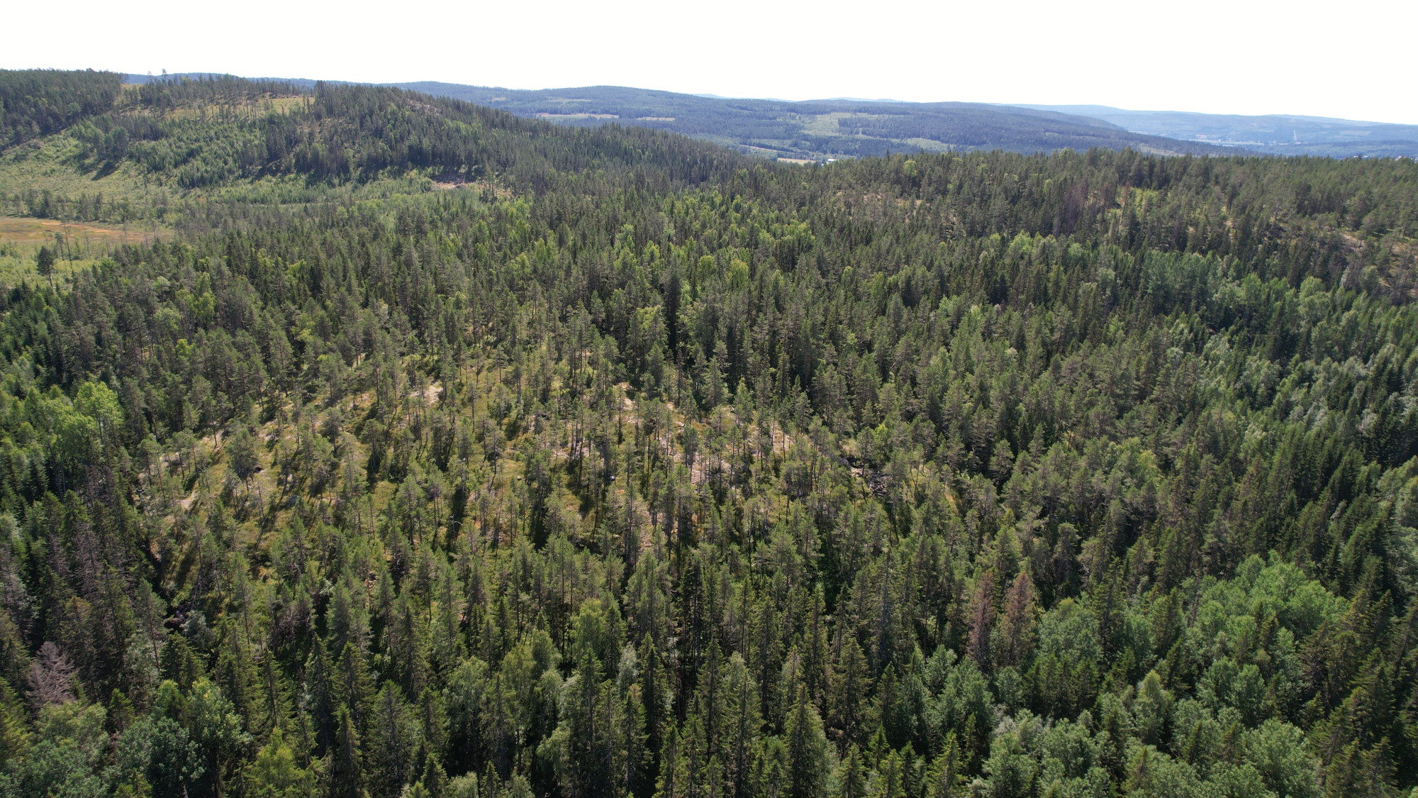 Sweden estate