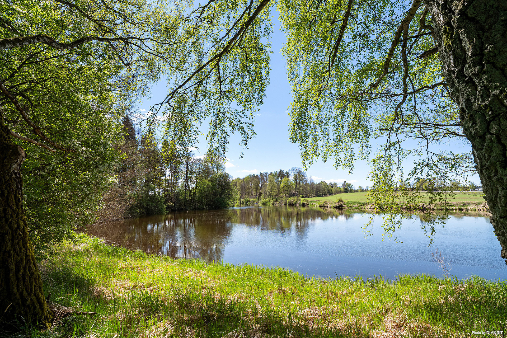 Sweden estate
