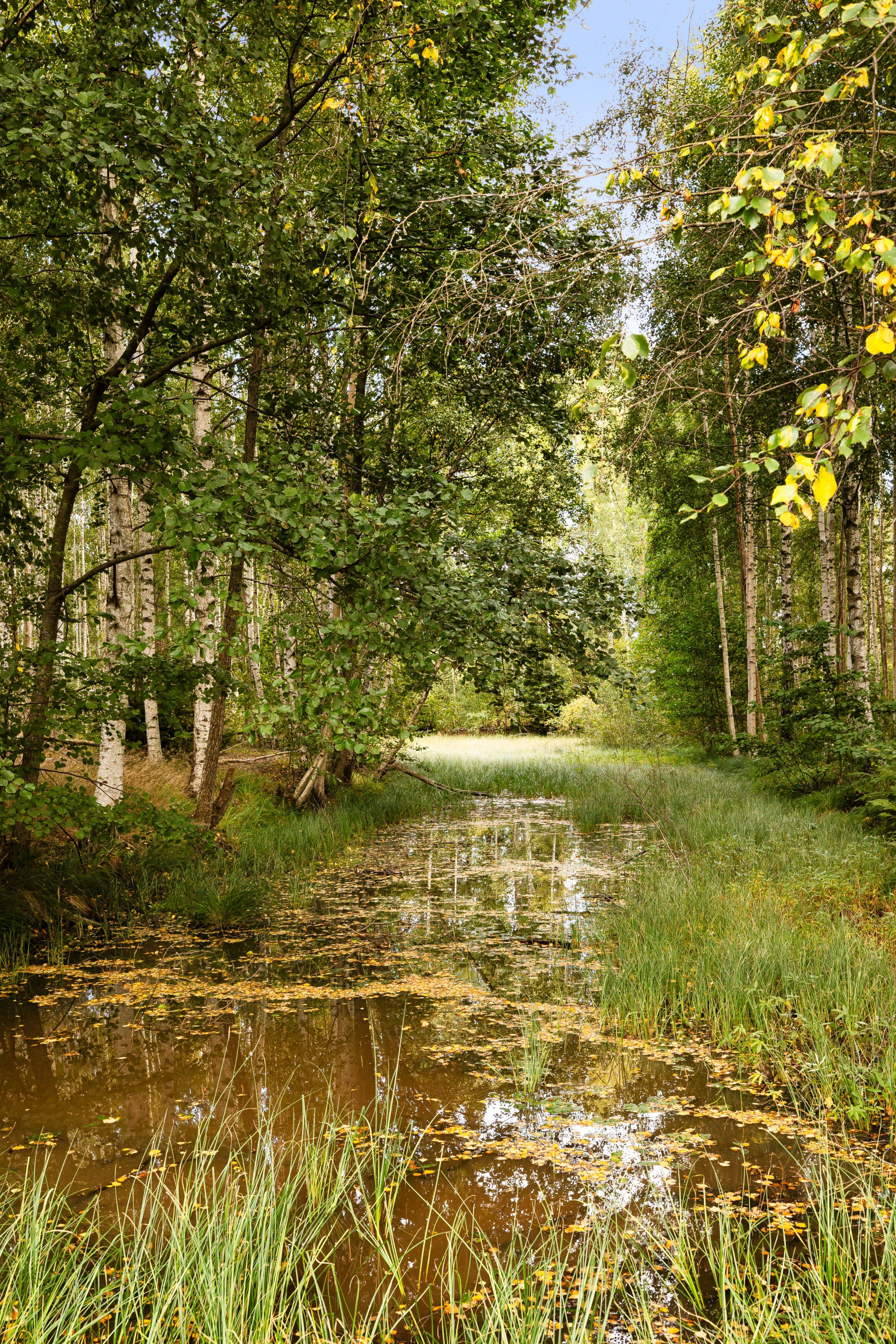 Sweden estate