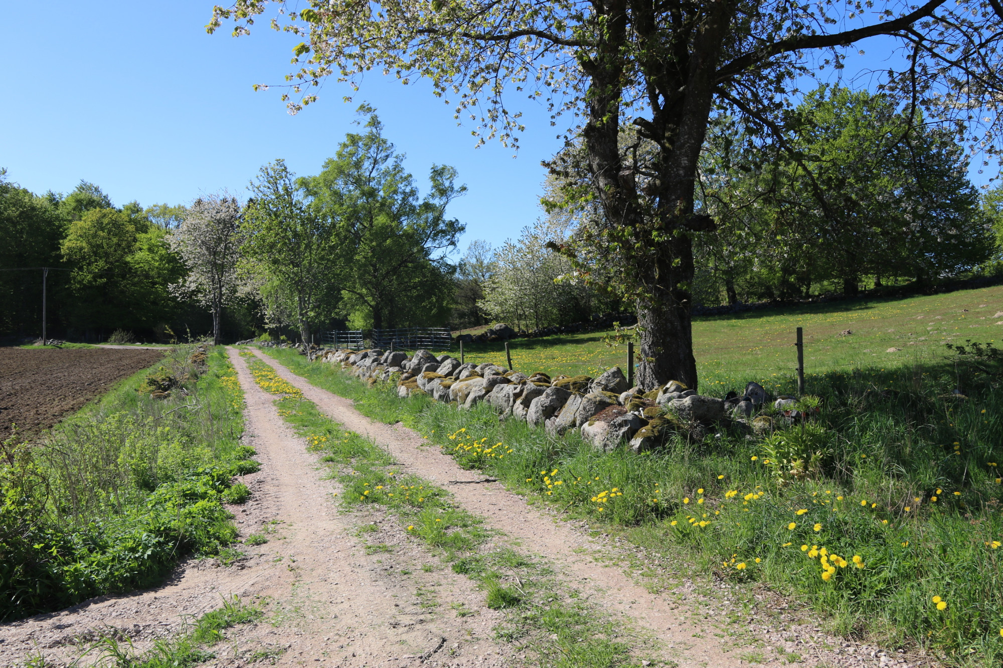Sweden estate