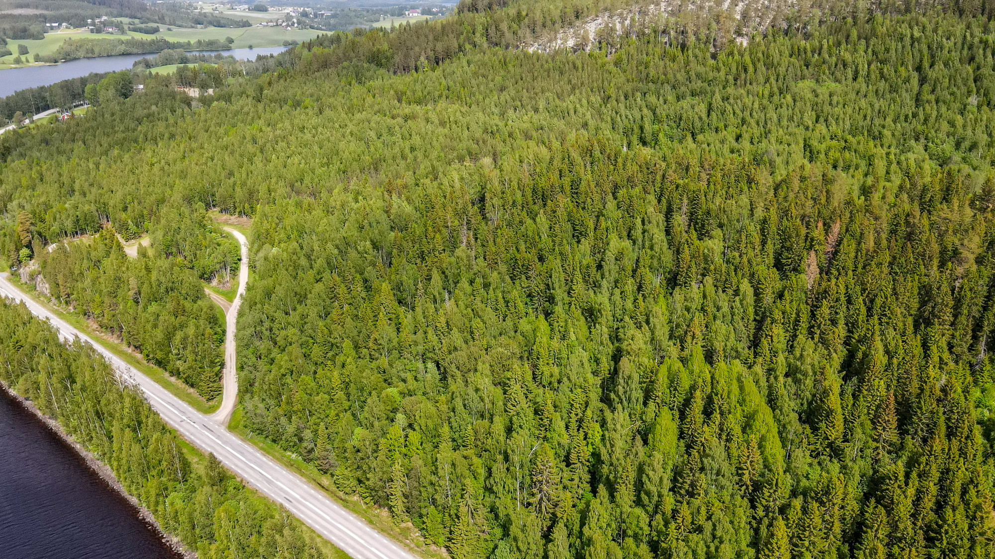 Sweden estate