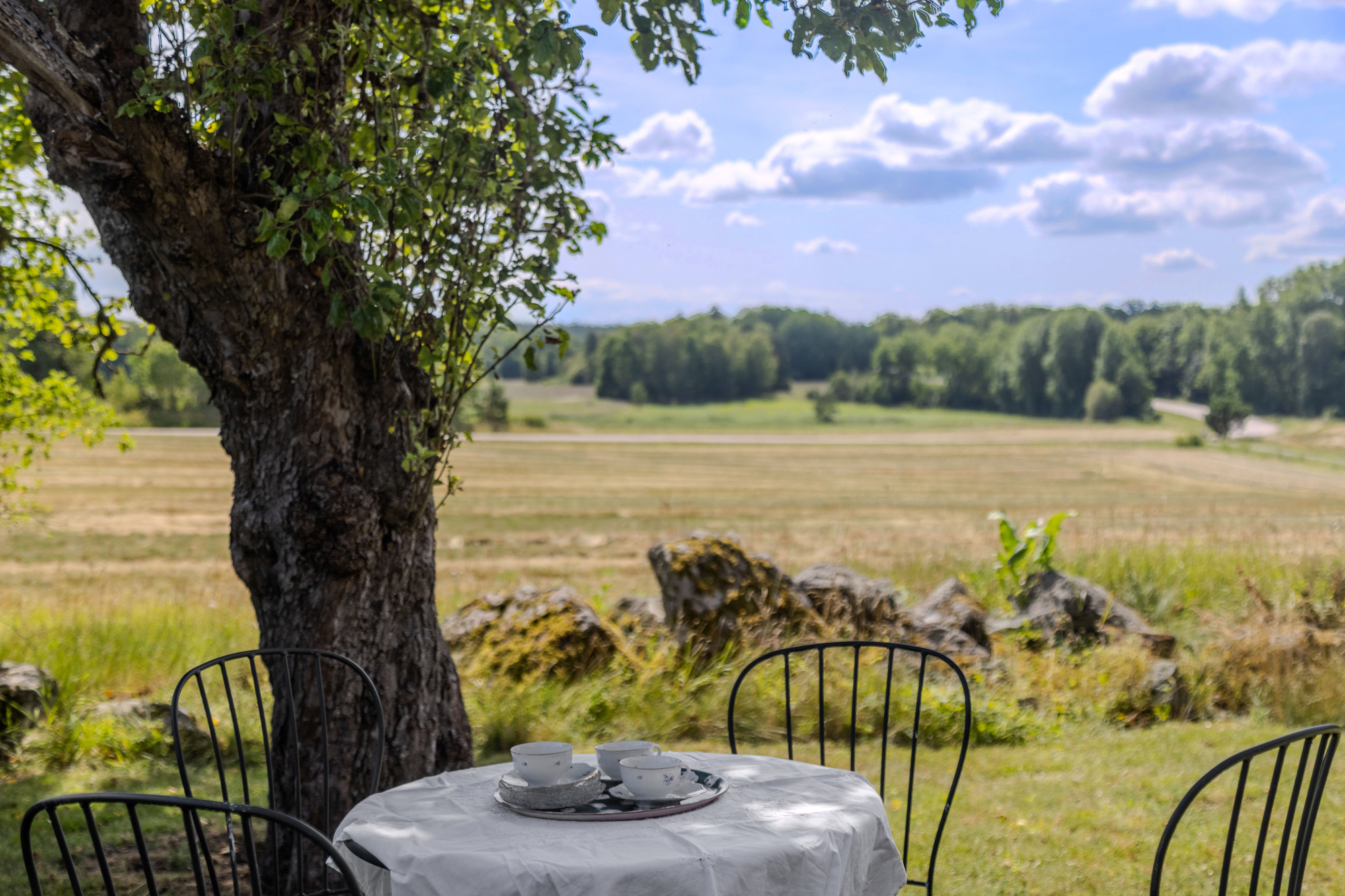 Sweden estate