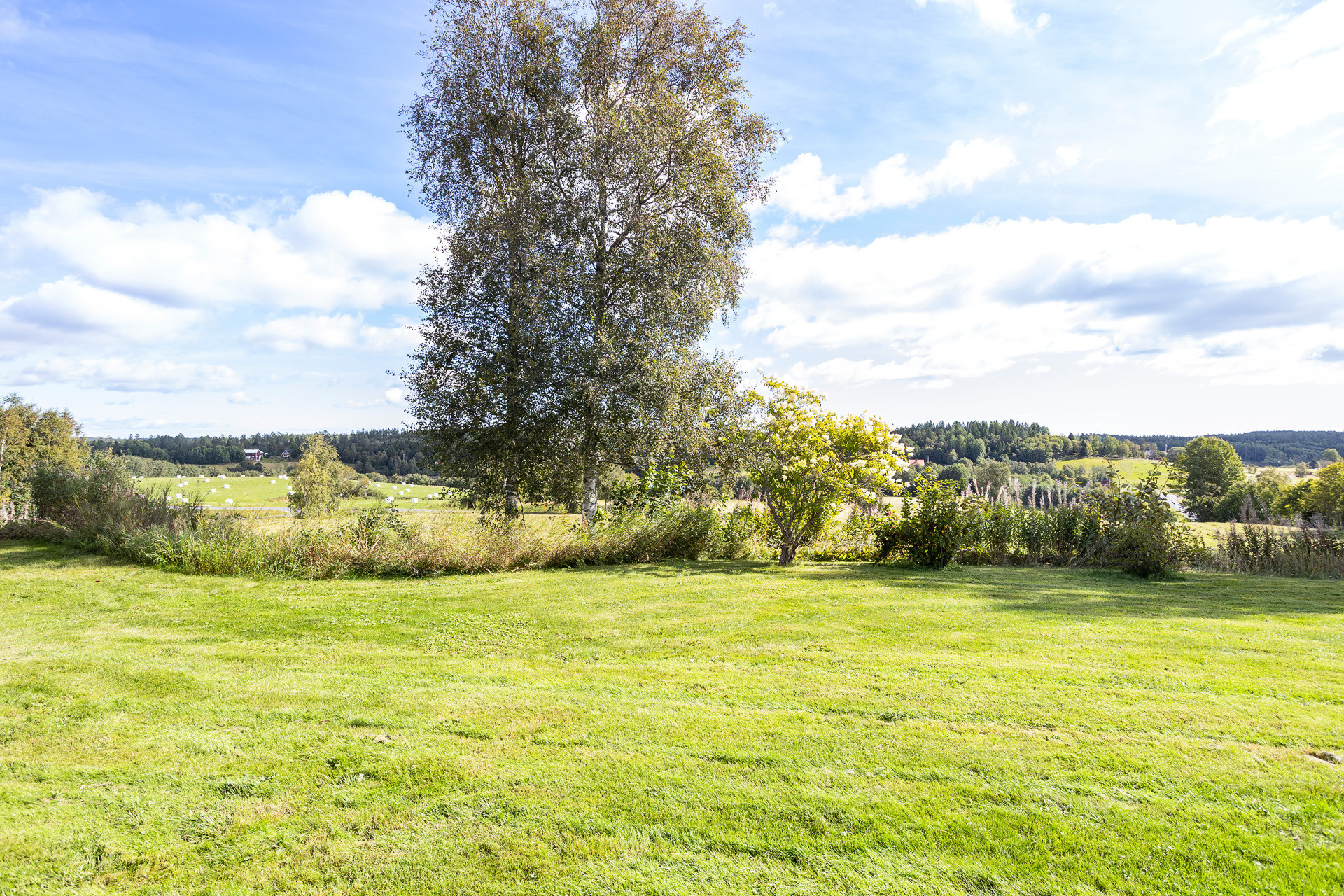 Sweden estate