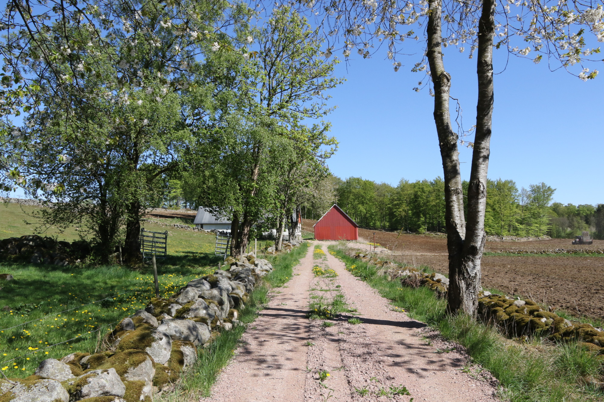 Sweden estate