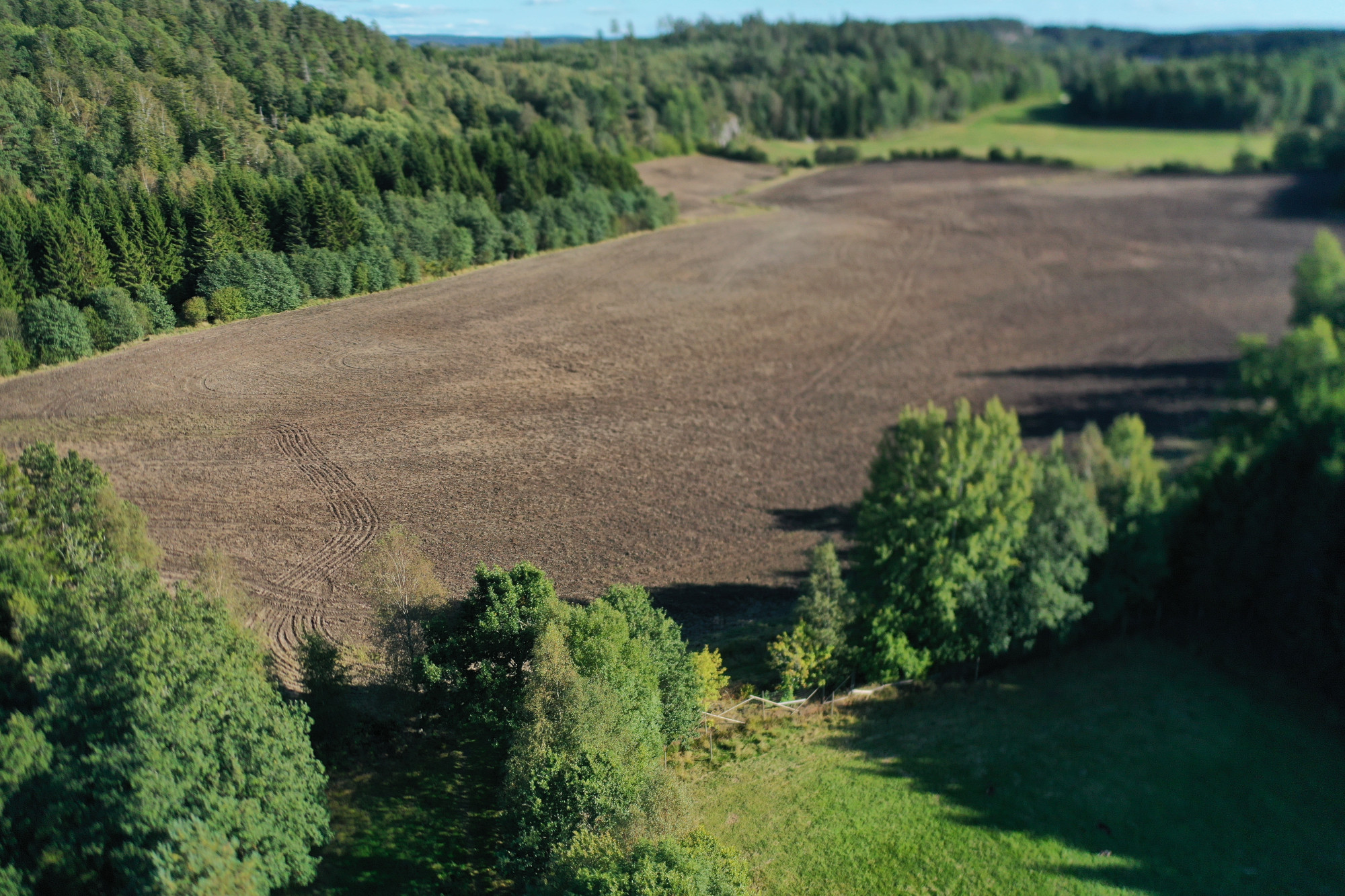Sweden estate