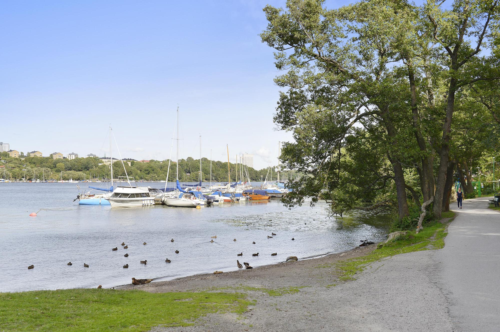Sweden estate