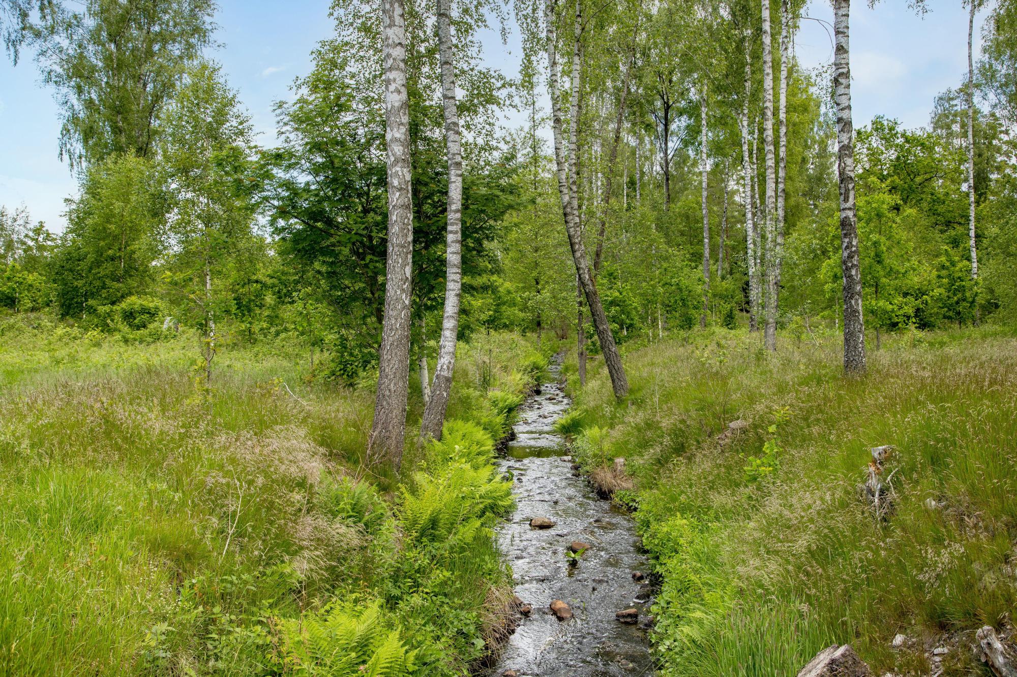 Sweden estate