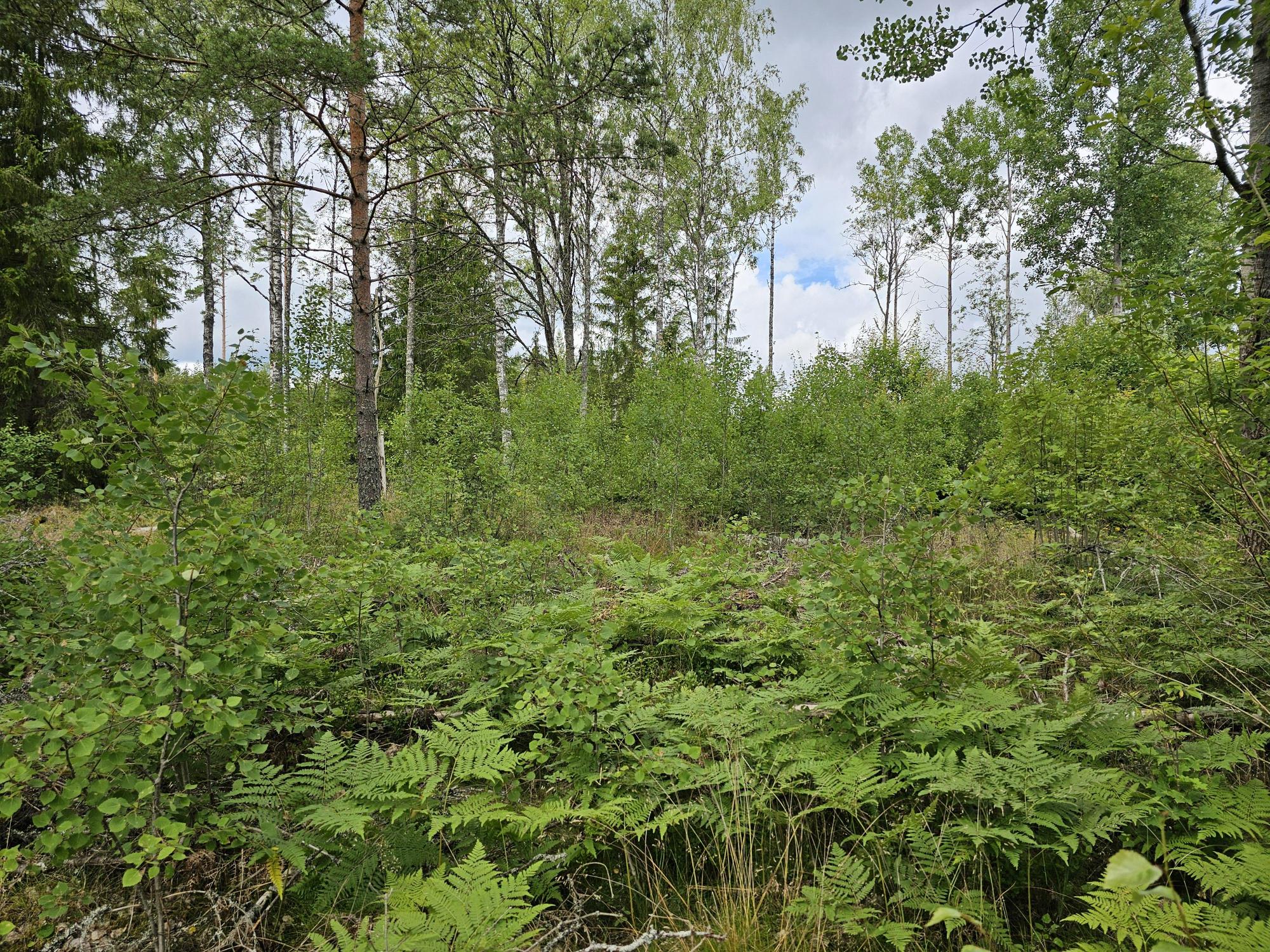 Sweden estate