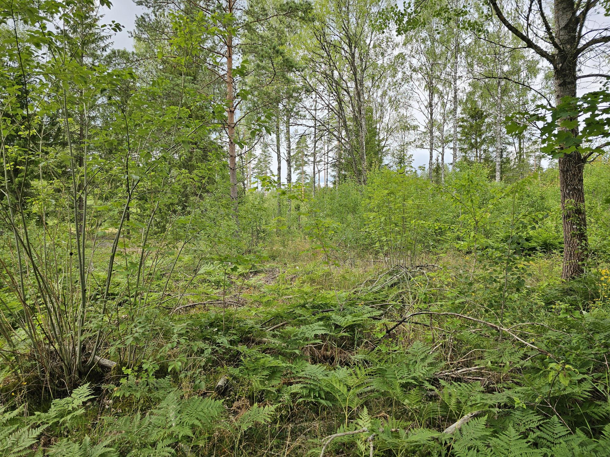 Sweden estate