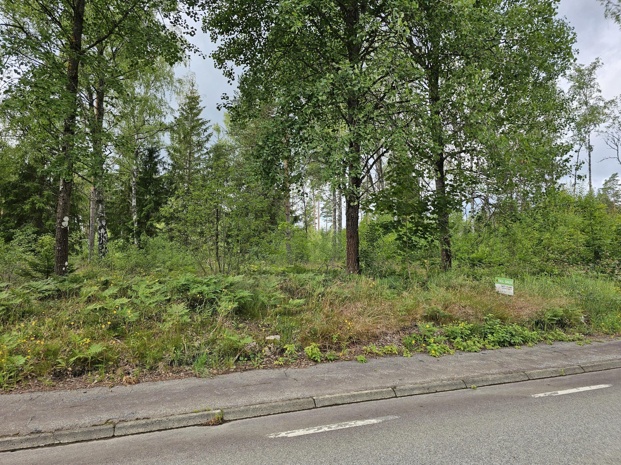 Sweden estate