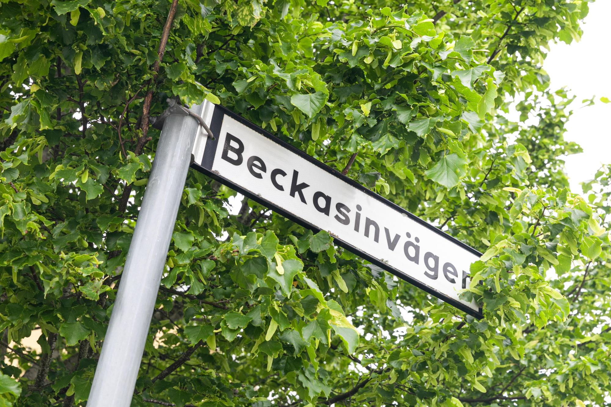 Sweden estate