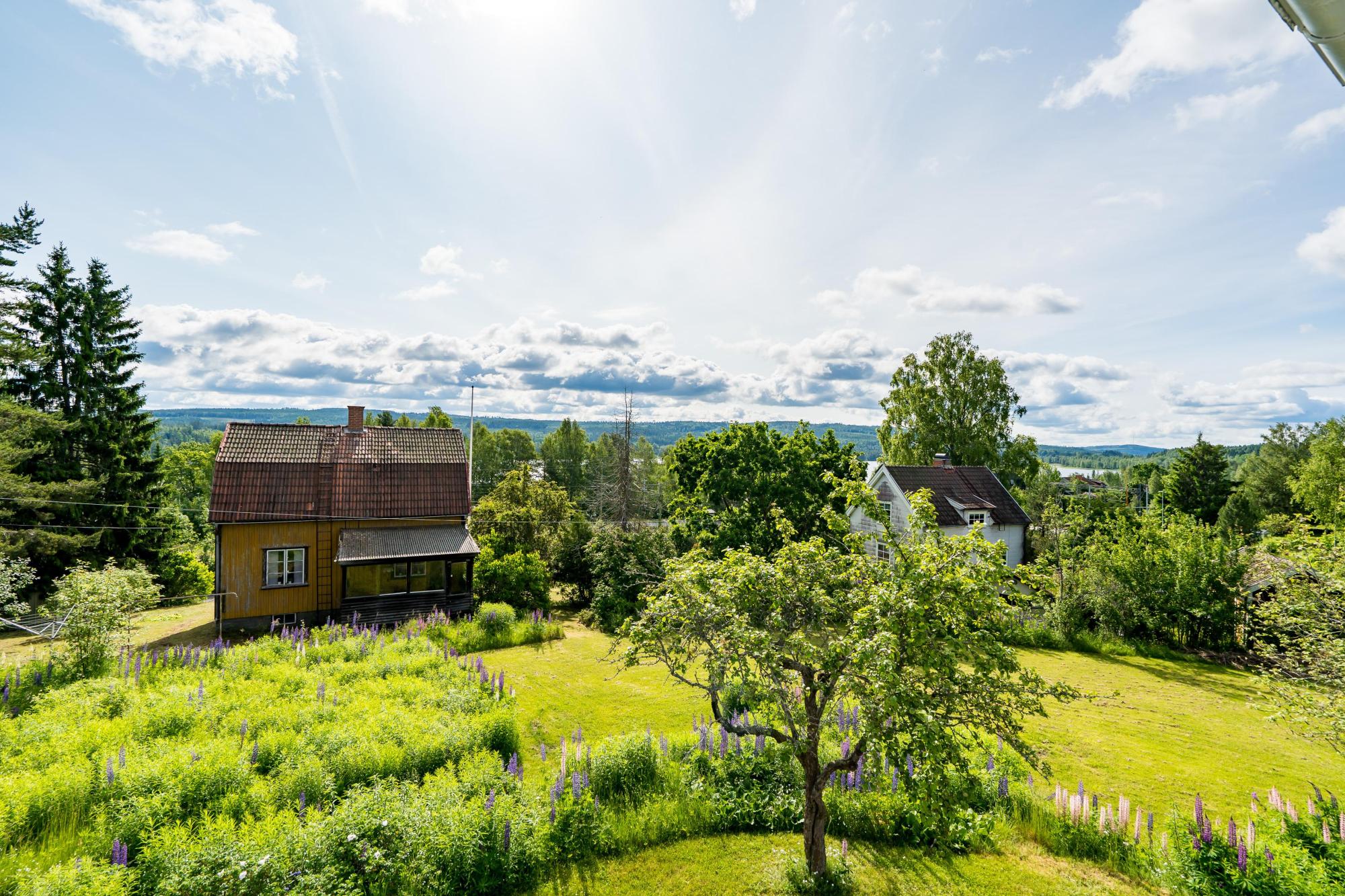 Sweden estate
