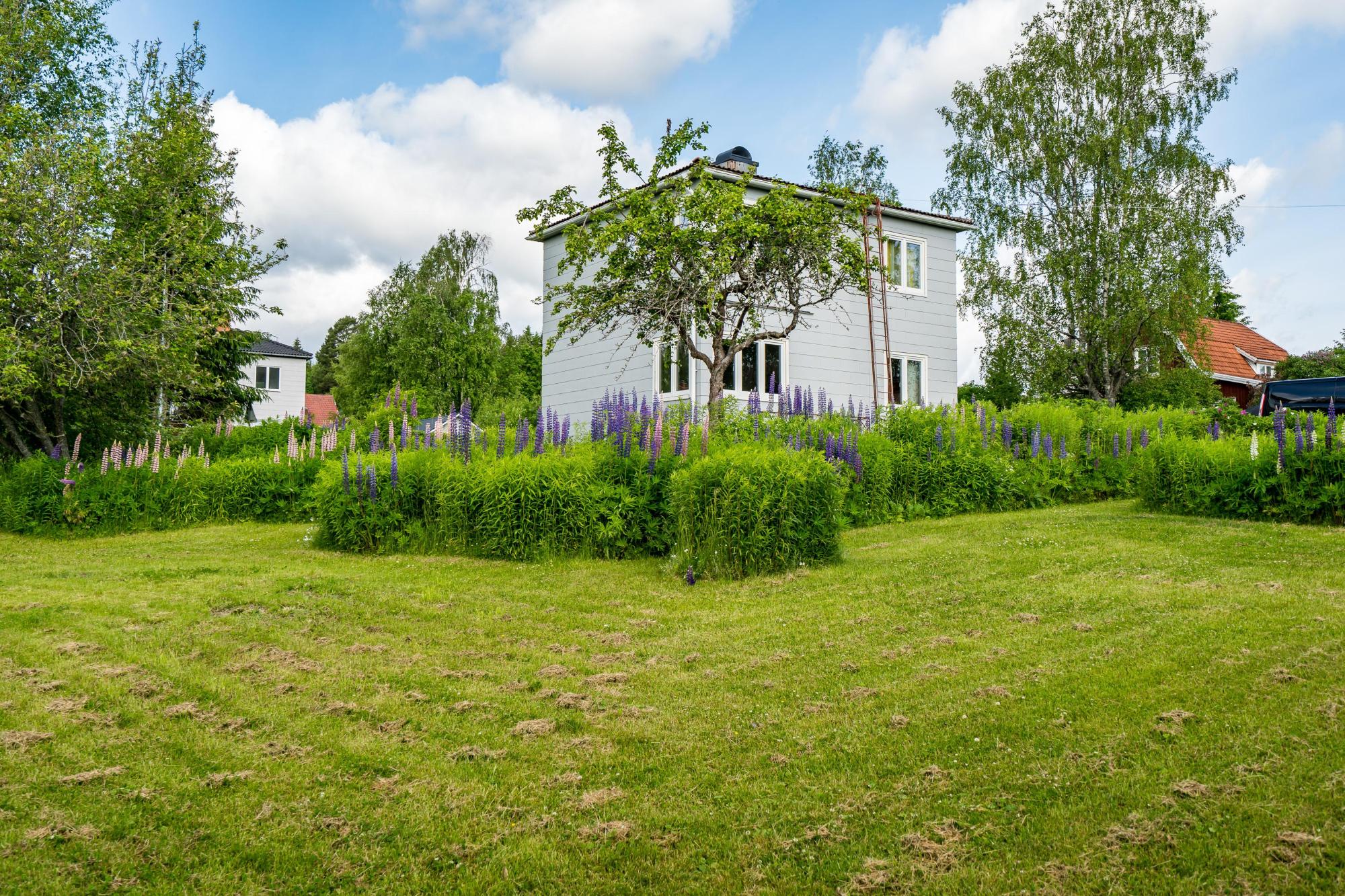 Sweden estate