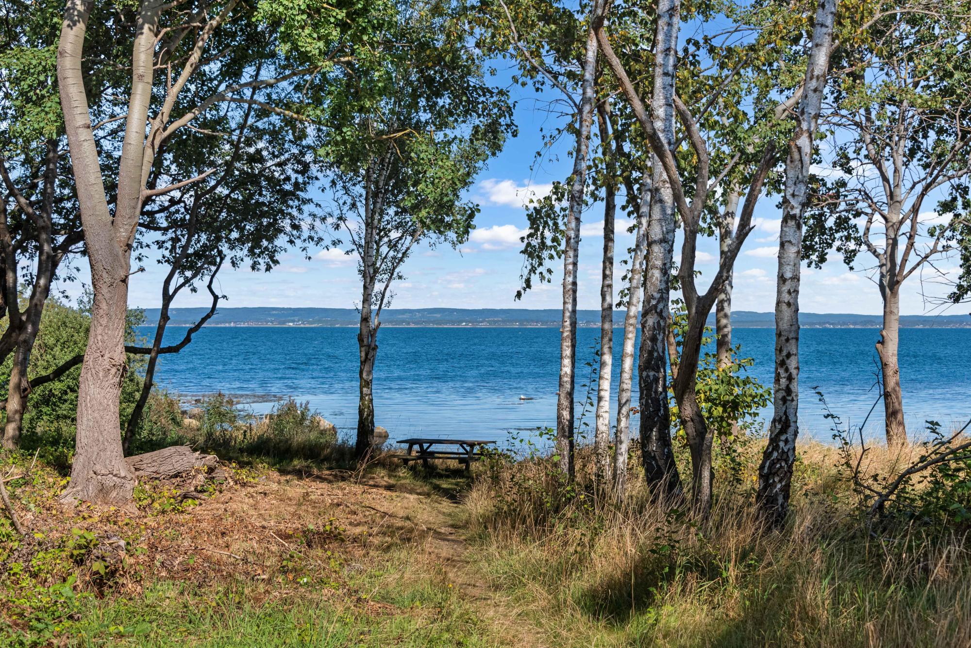 Sweden estate