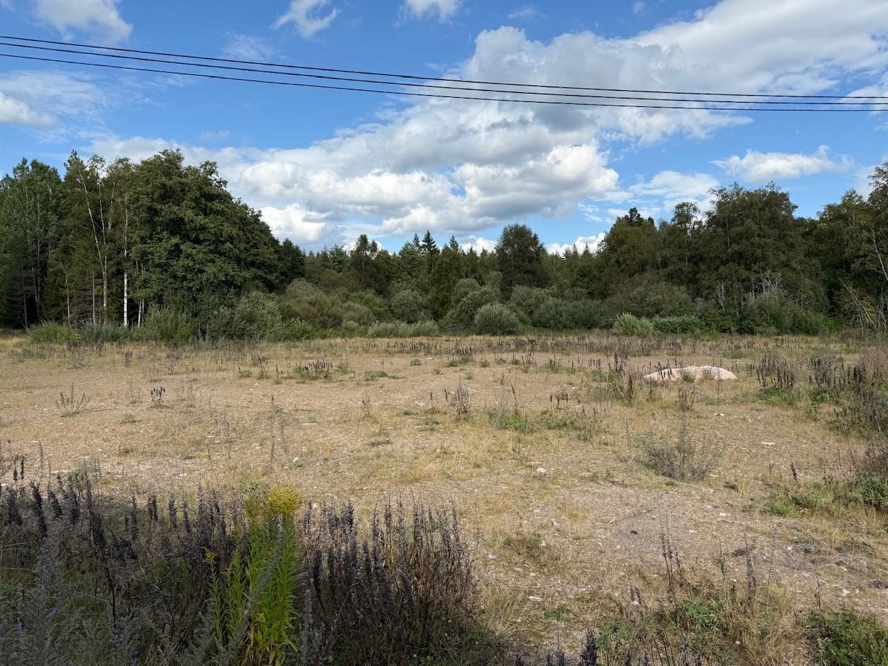 Sweden estate