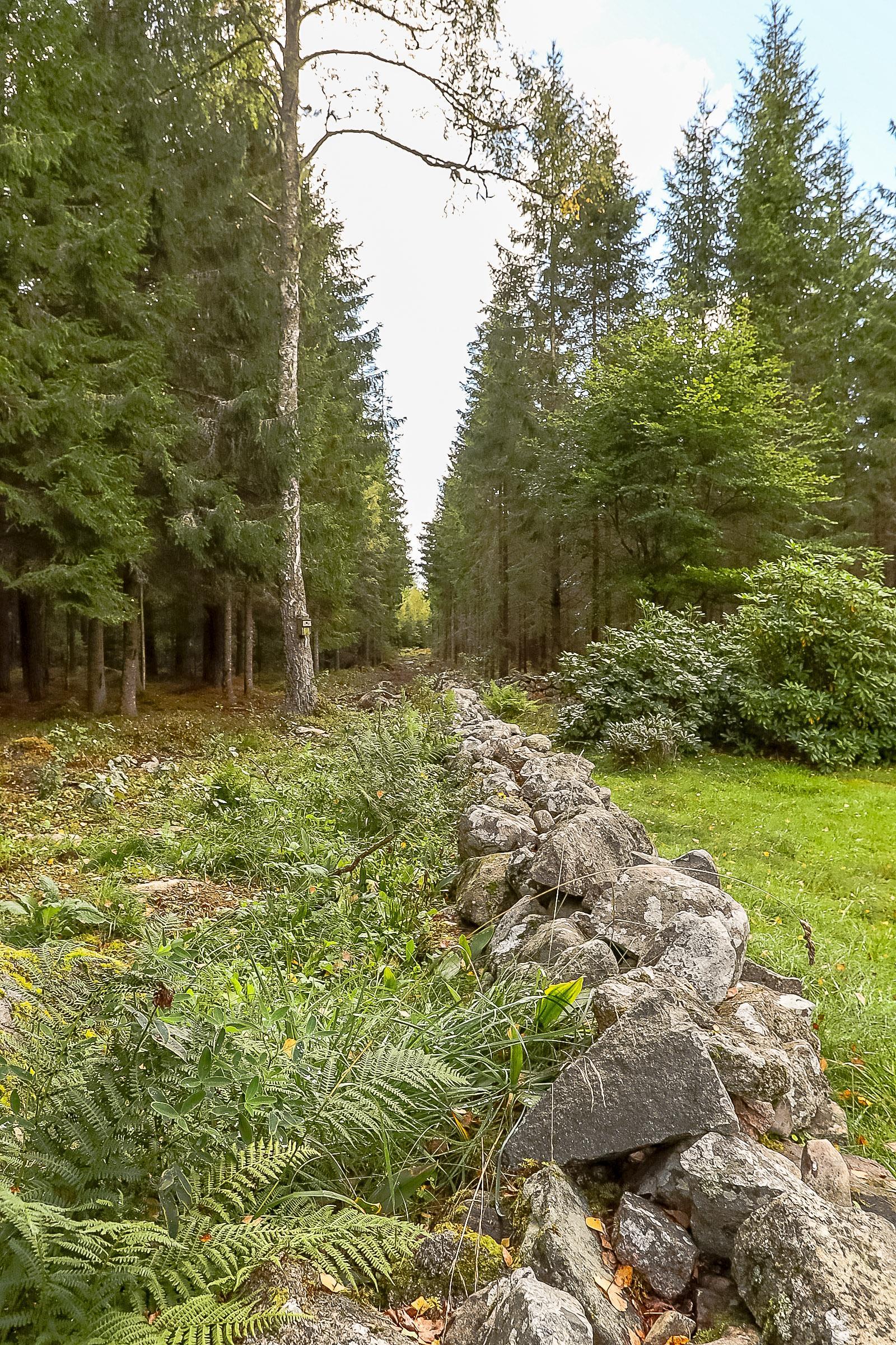 Sweden estate