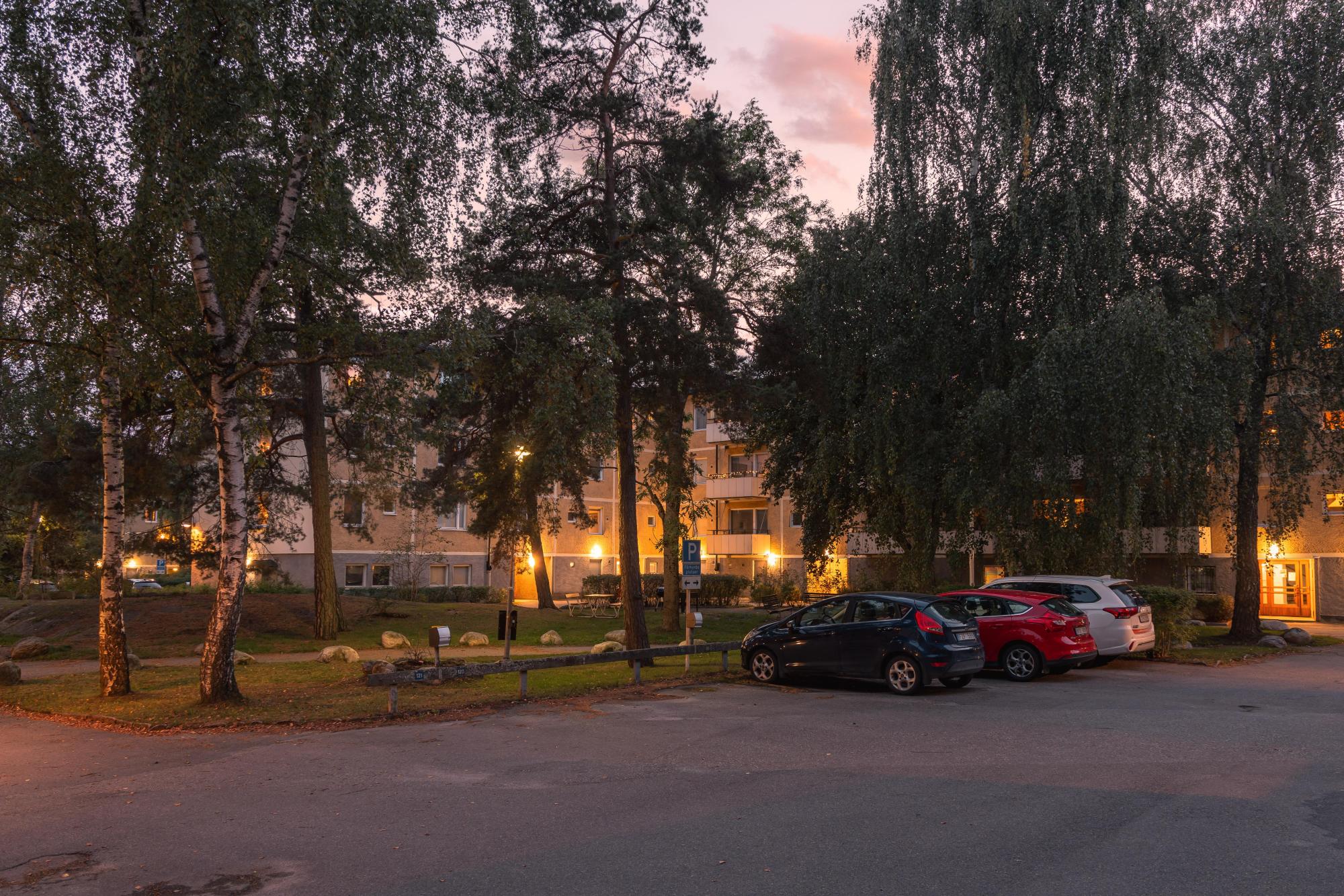 Sweden estate