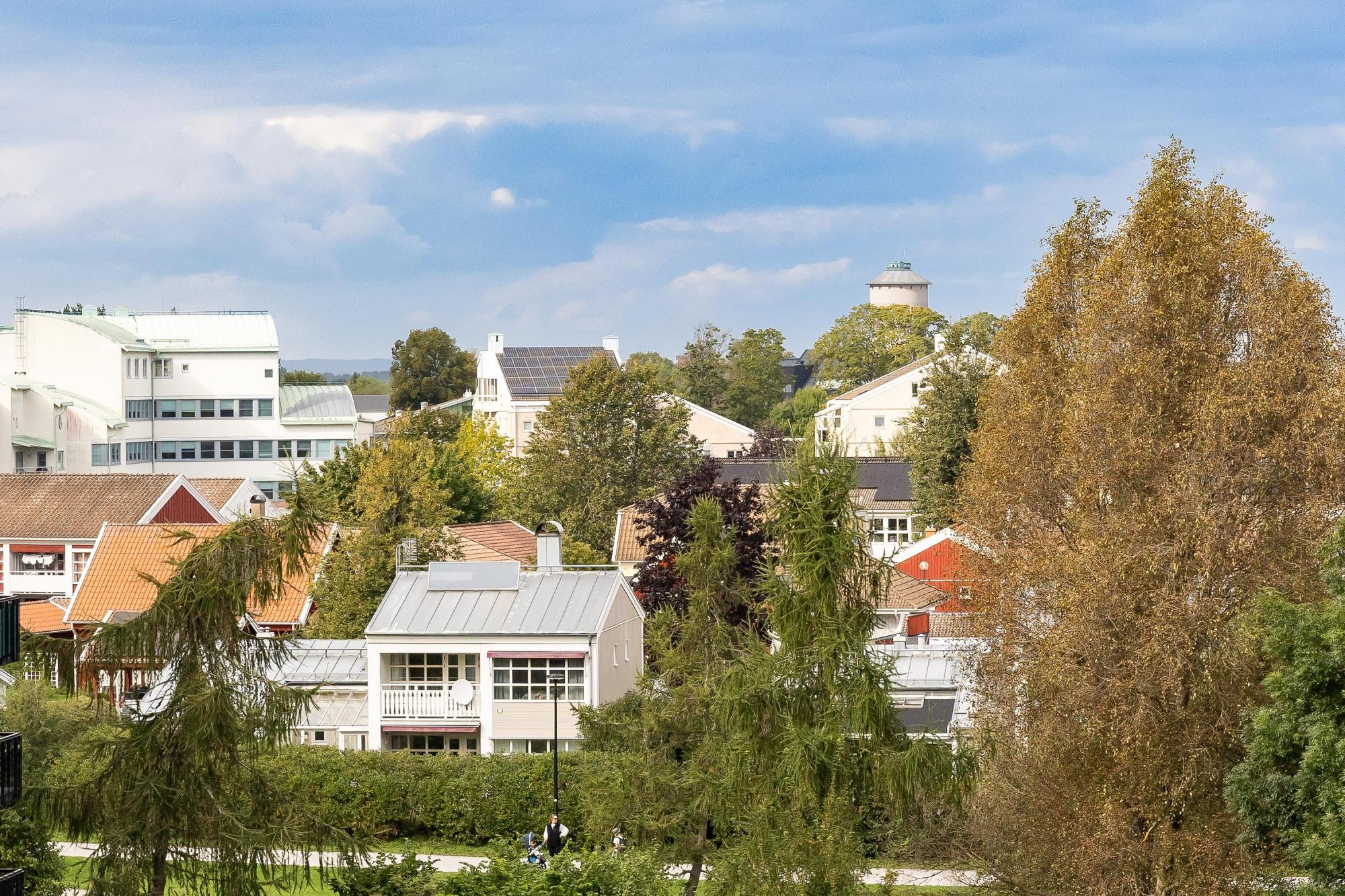 Sweden estate