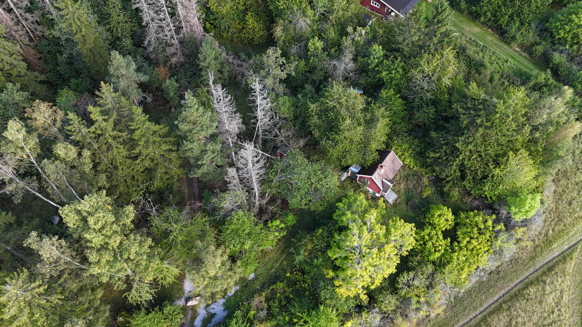 Sweden estate