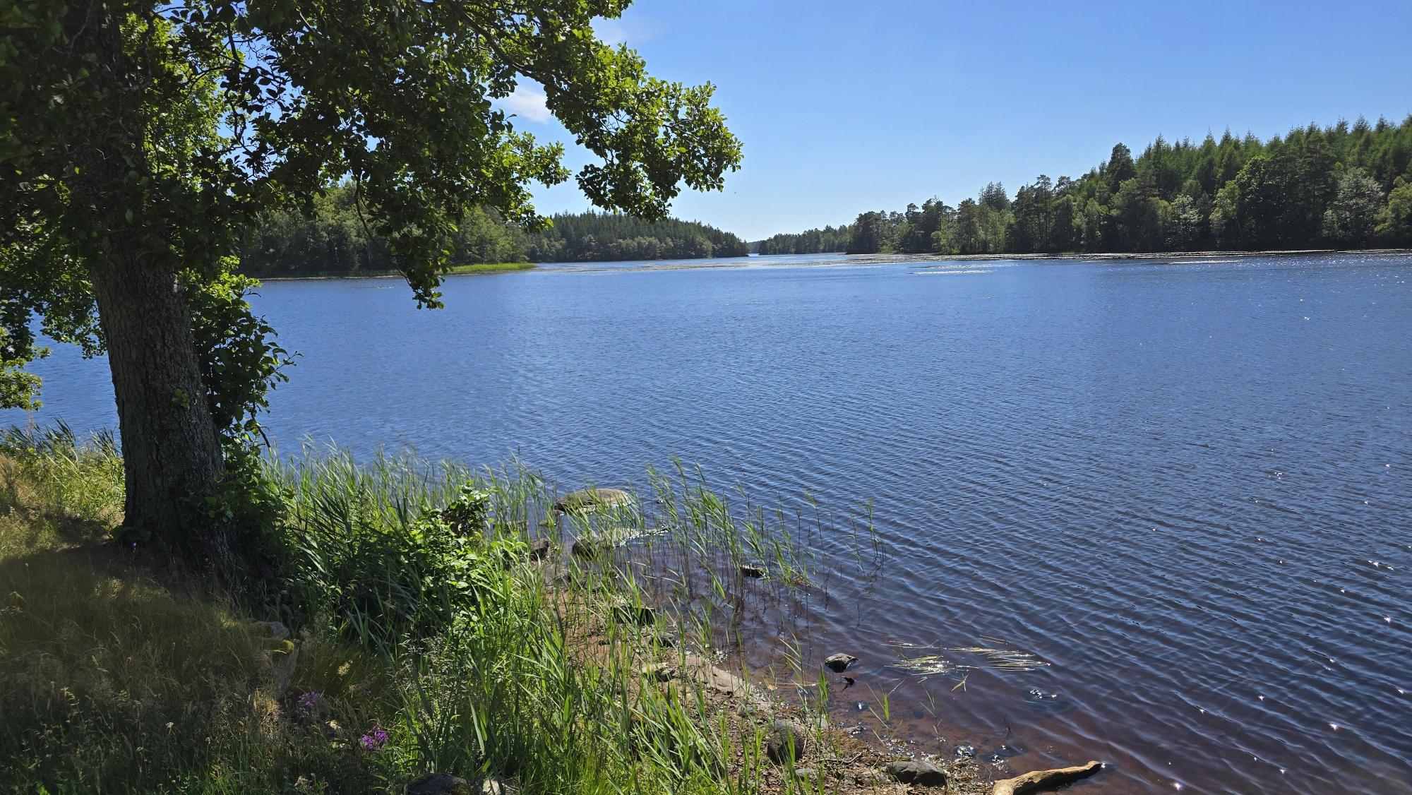 Sweden estate