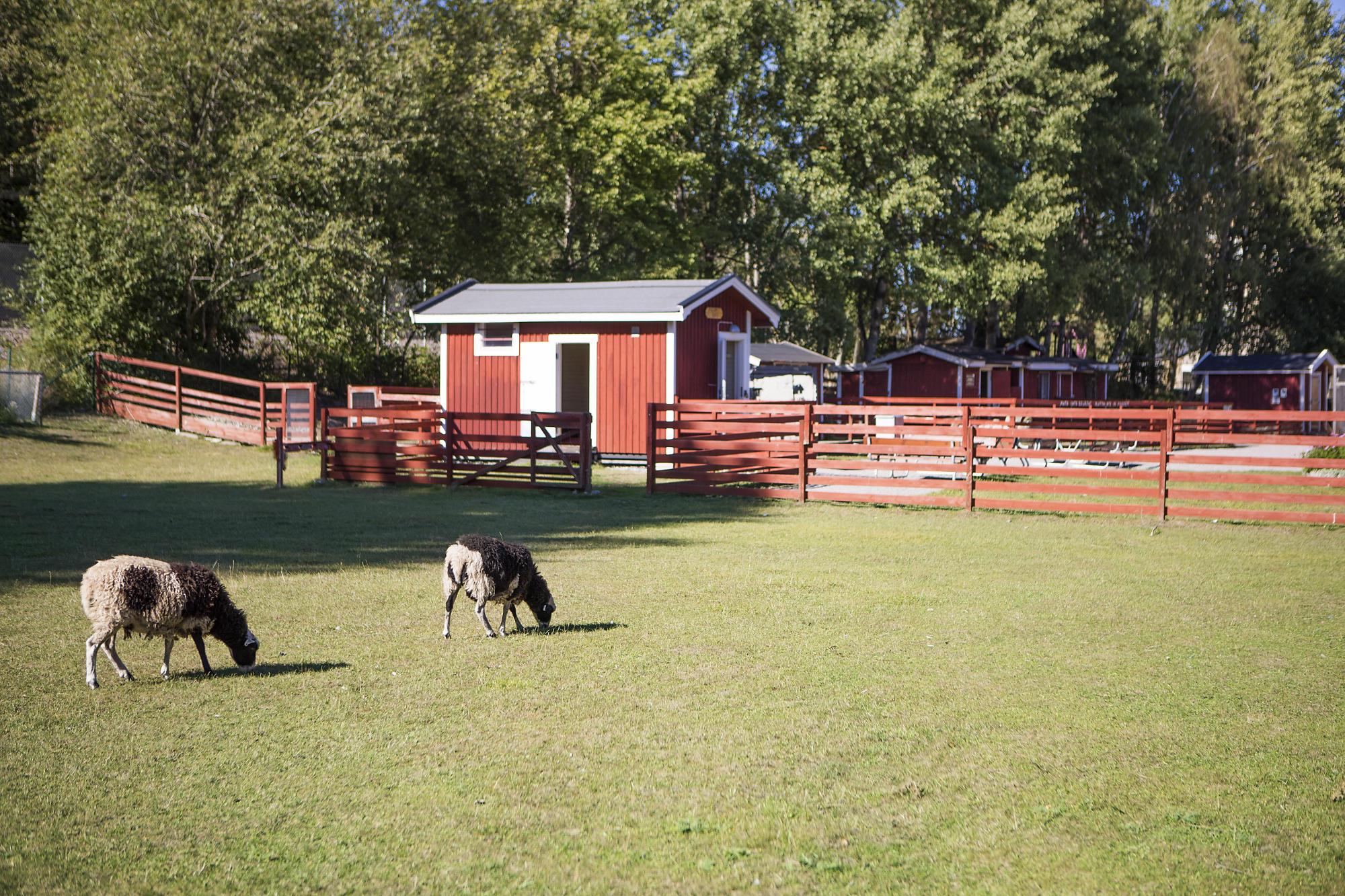 Sweden estate