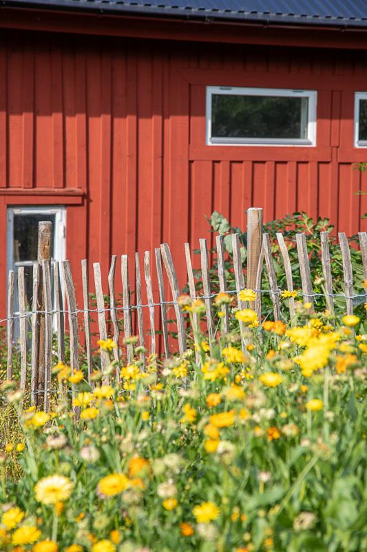 Sweden estate