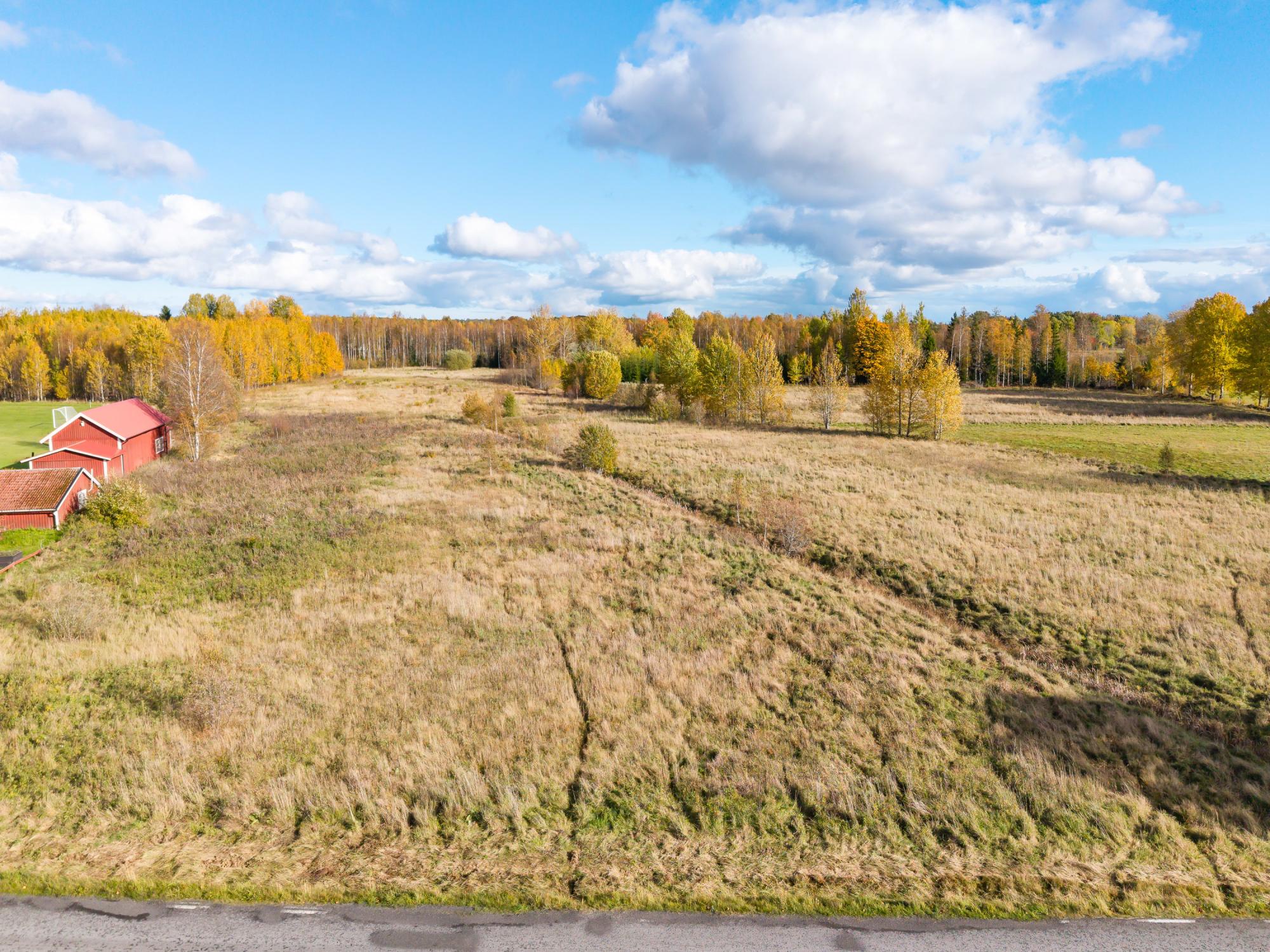 Sweden estate