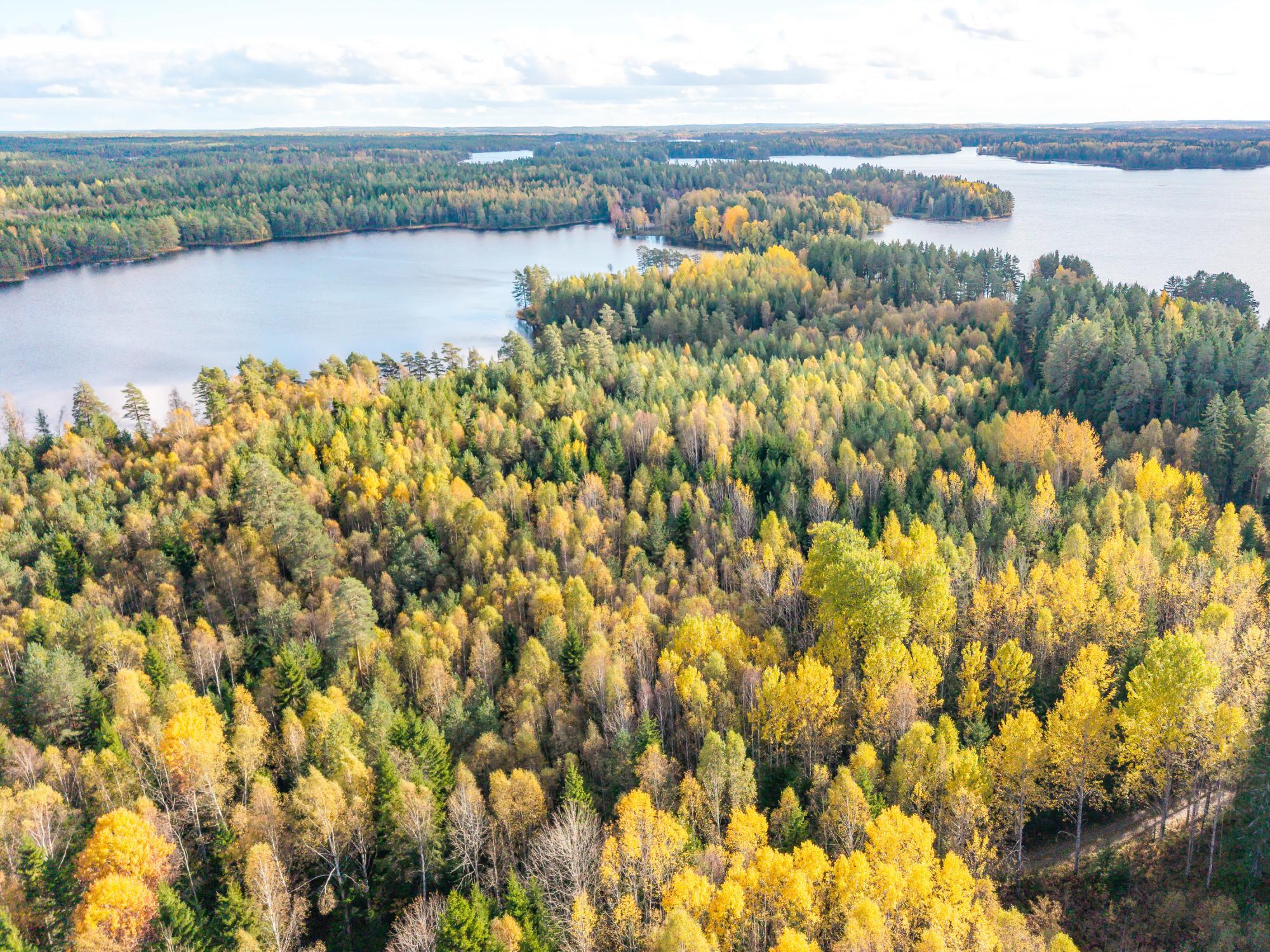 Sweden estate