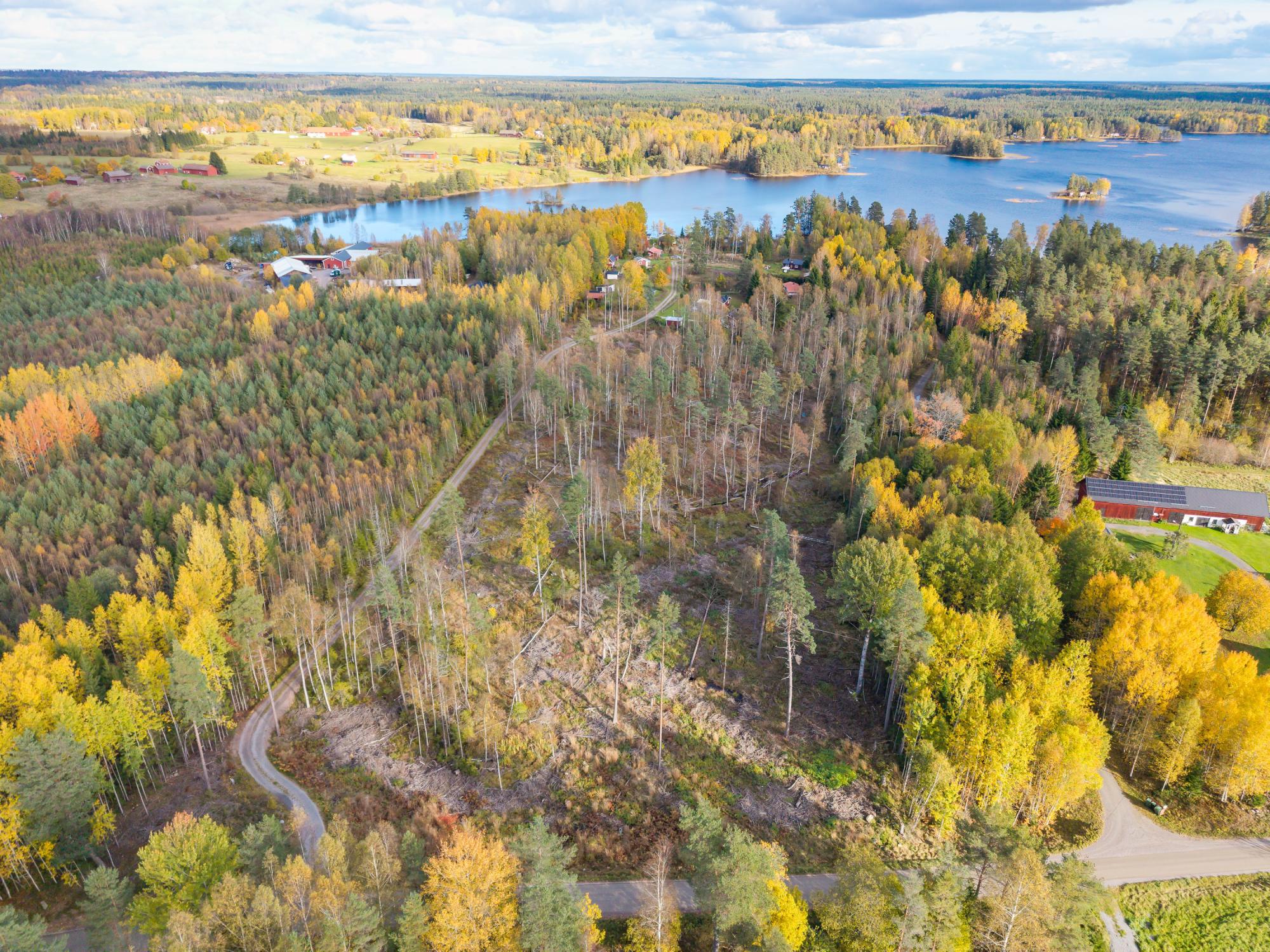 Sweden estate