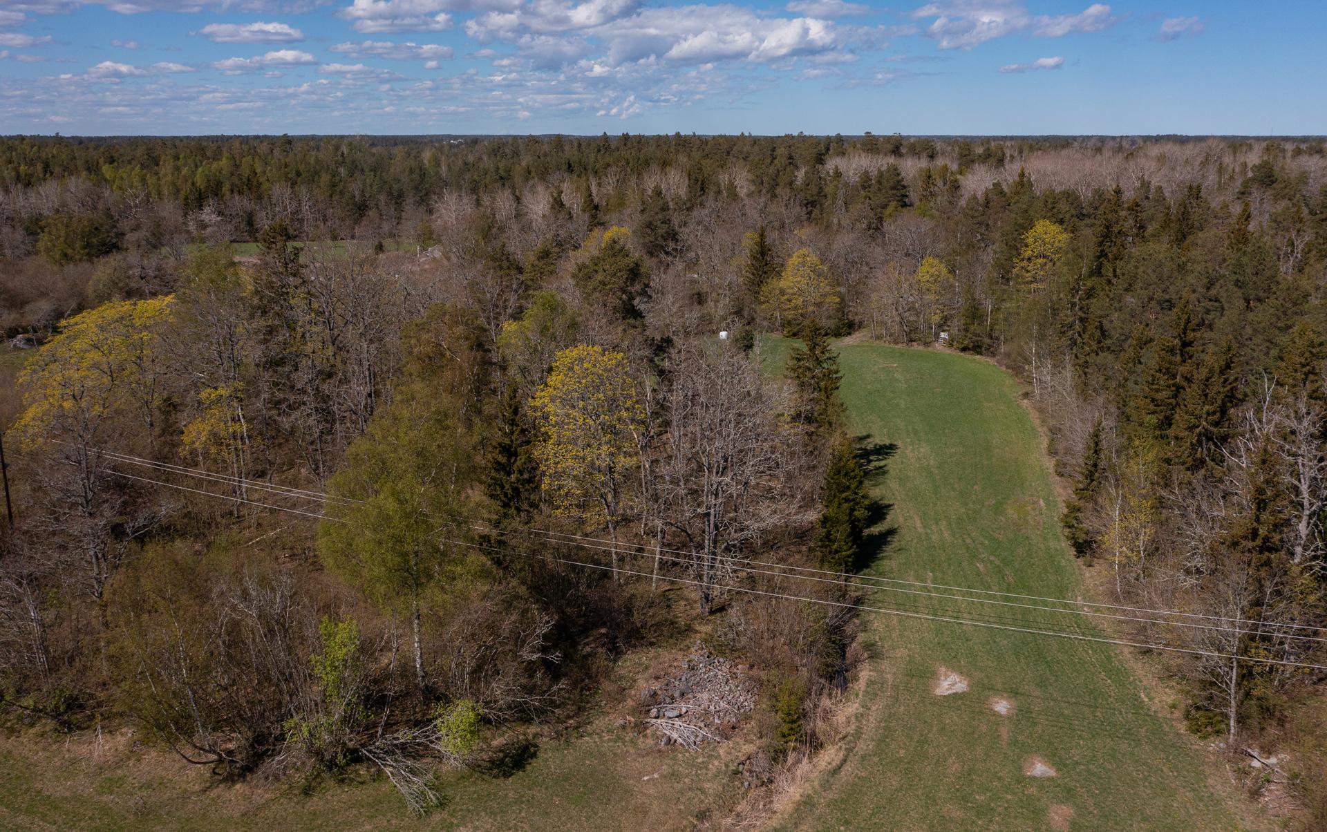 Sweden estate