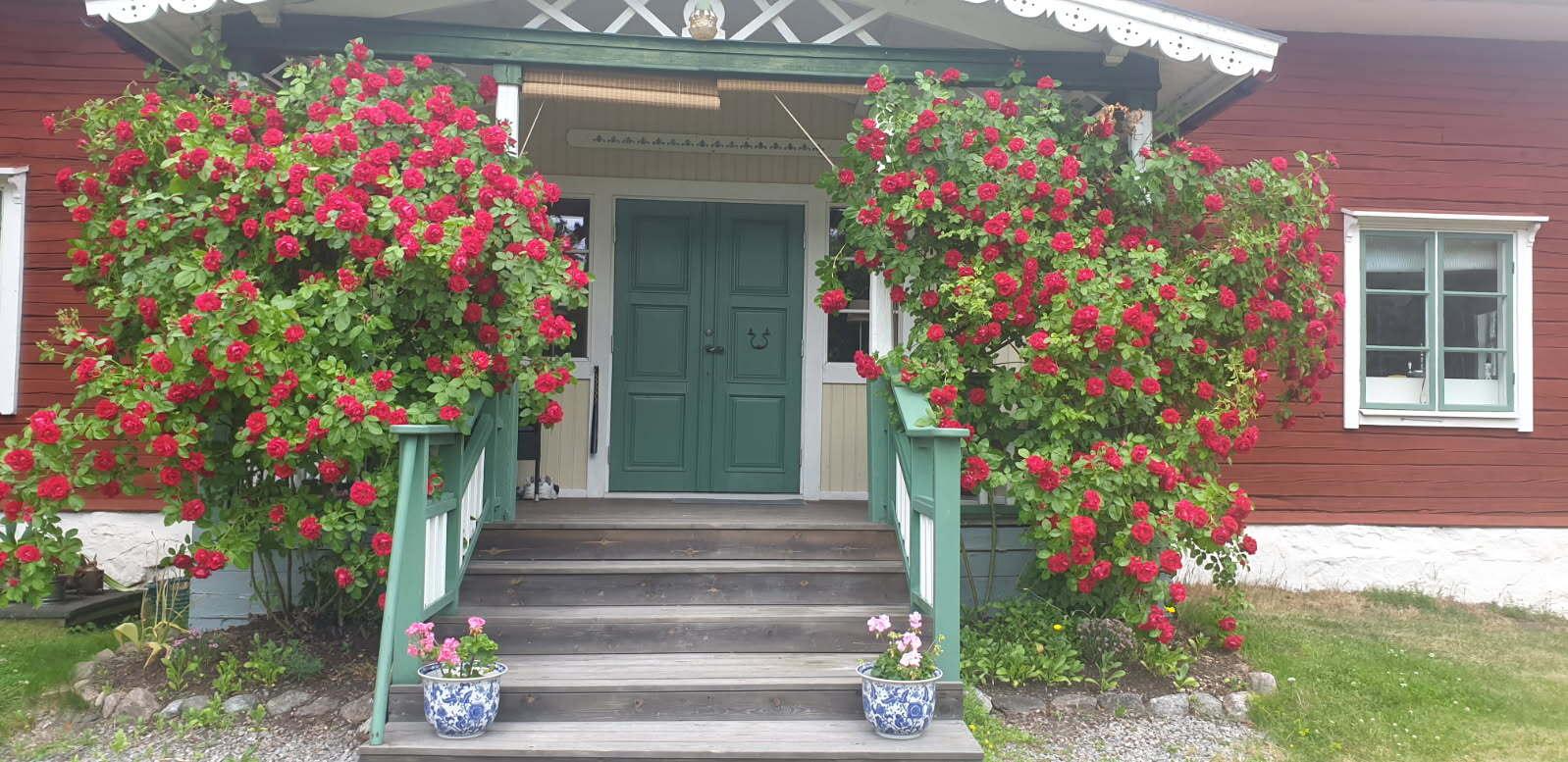 Sweden estate