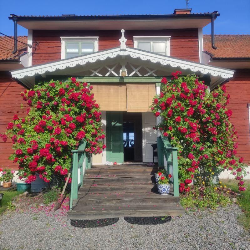 Sweden estate