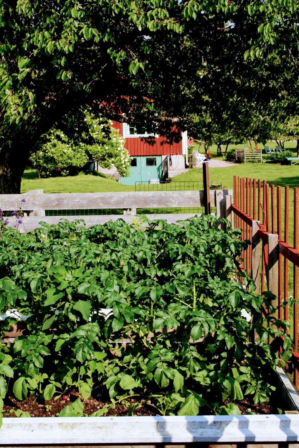 Sweden estate